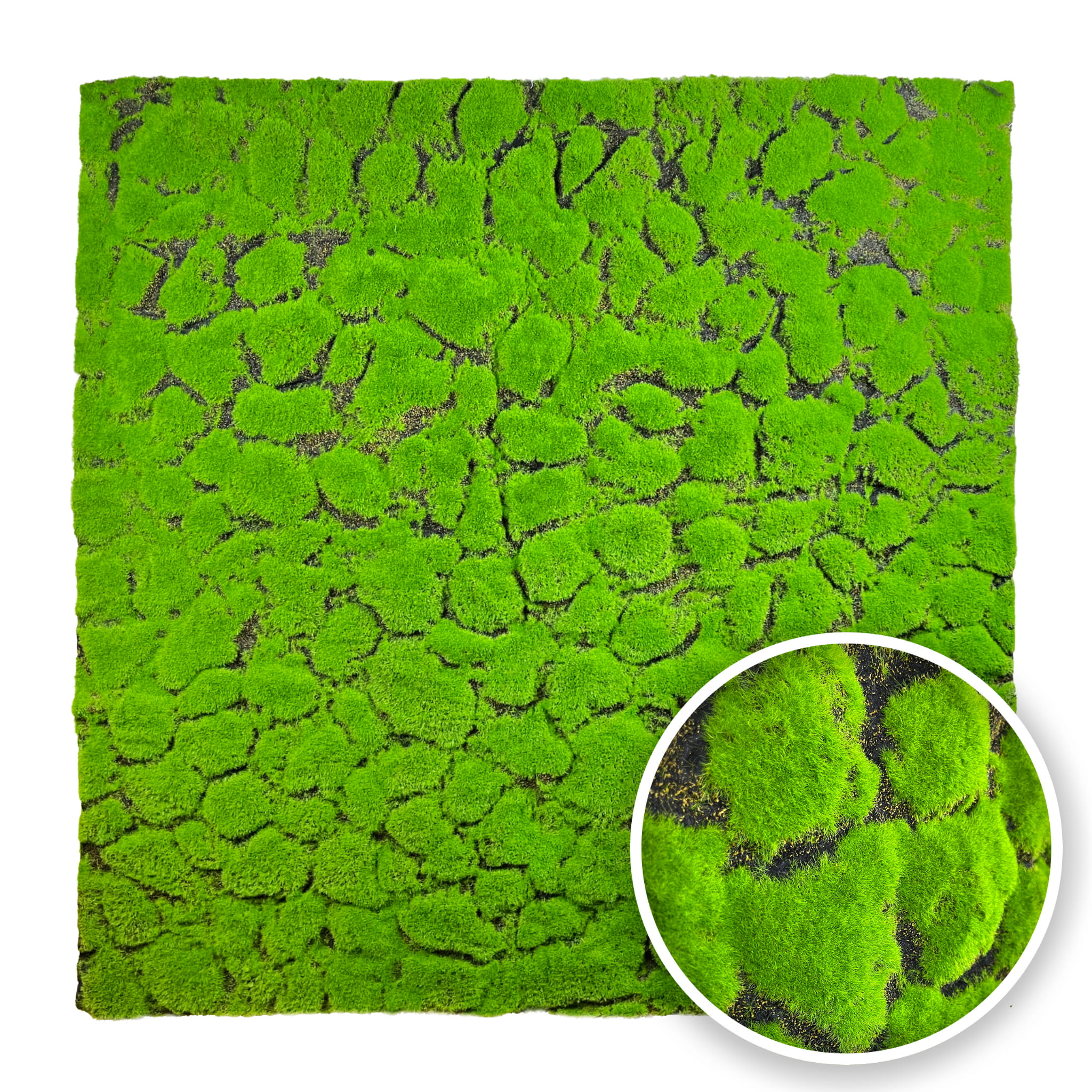 Mousse de coussin artificielle 100x100cm – Green Designers