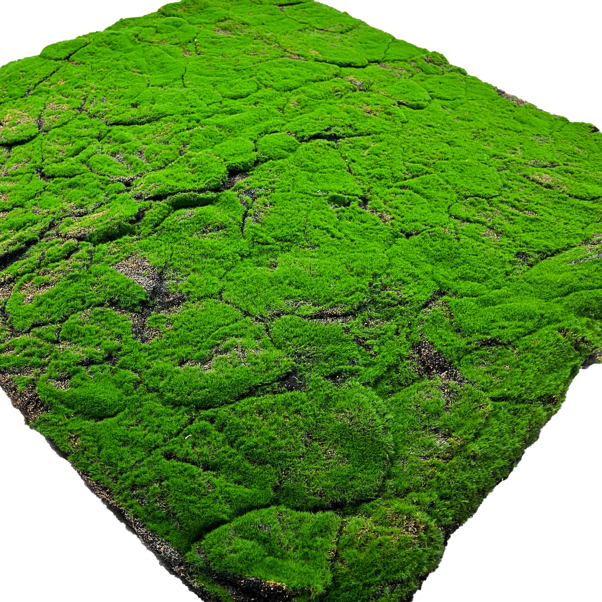 Tourbe artificielle 100x100cm – Green Designers