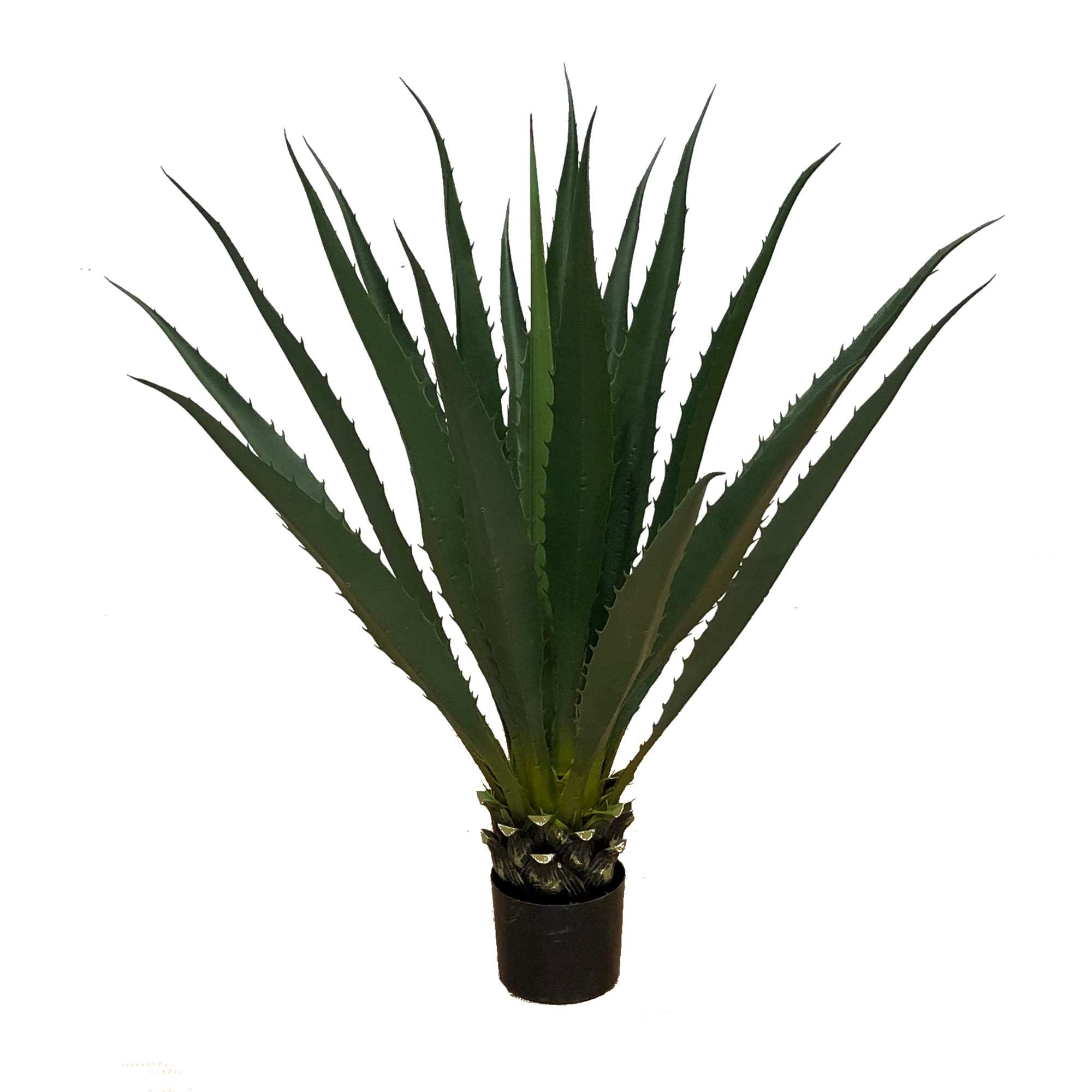 Plante décorative Agave Americana 100 cm