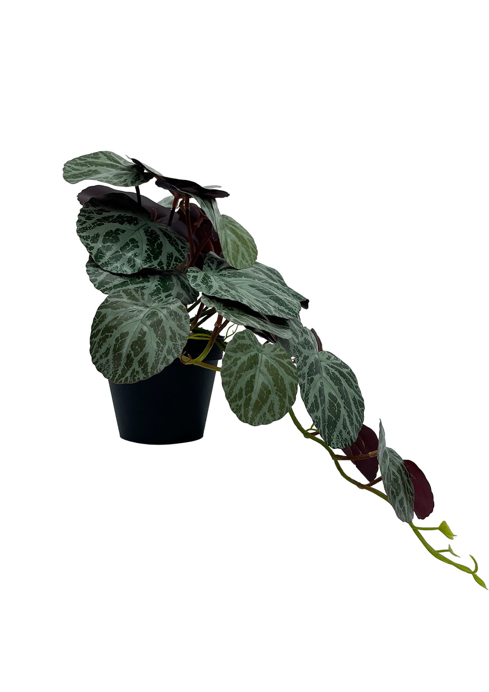 Plante Pilea artificielle 40 cm – Green Designers