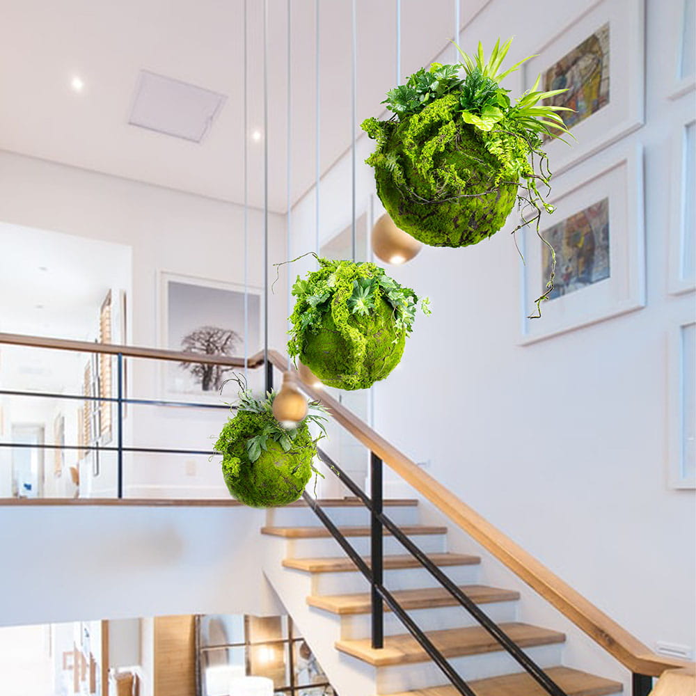 Boule de mousse kokedama 25 cm – Green Designers