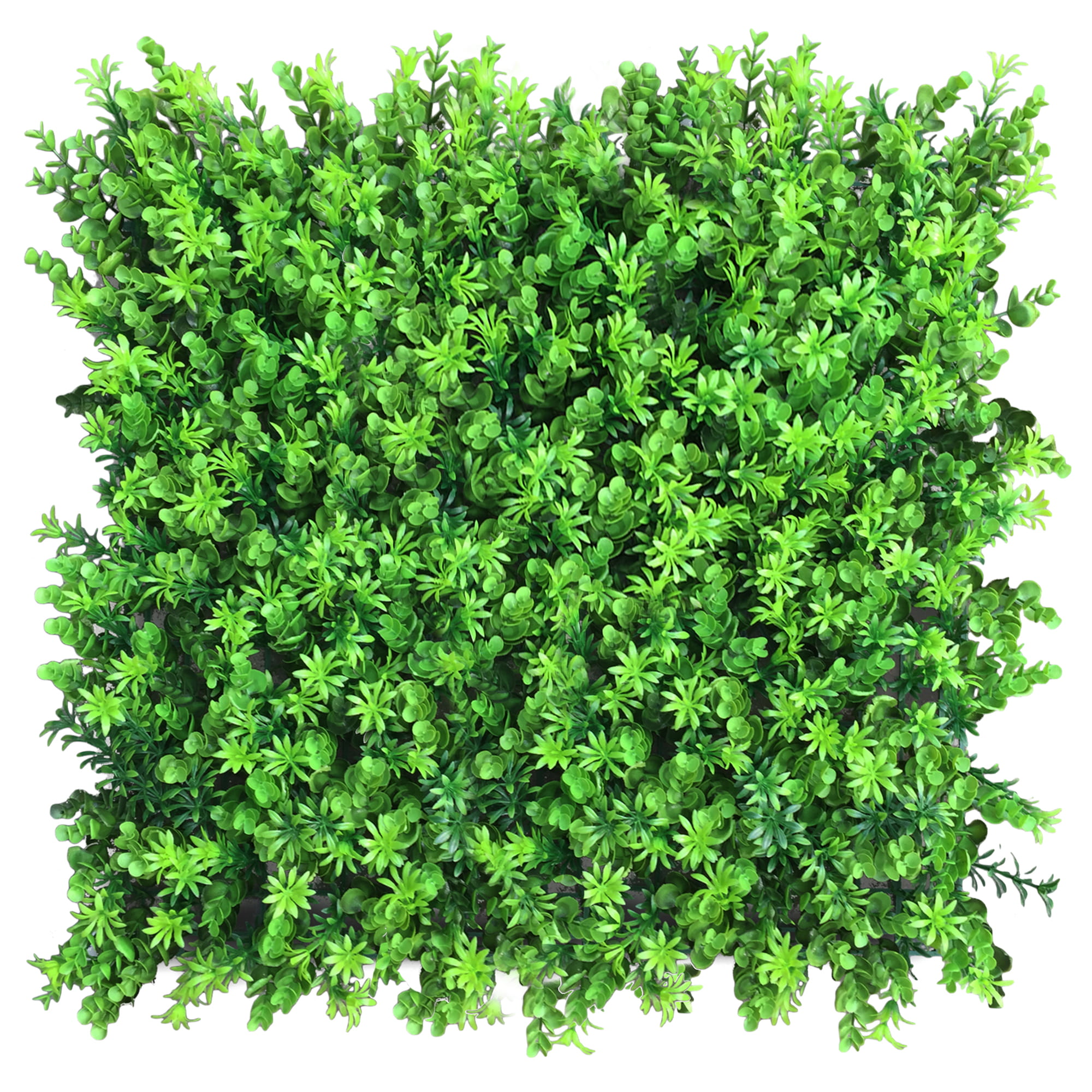 Mur végétal Dobrzełka 50x50cm
