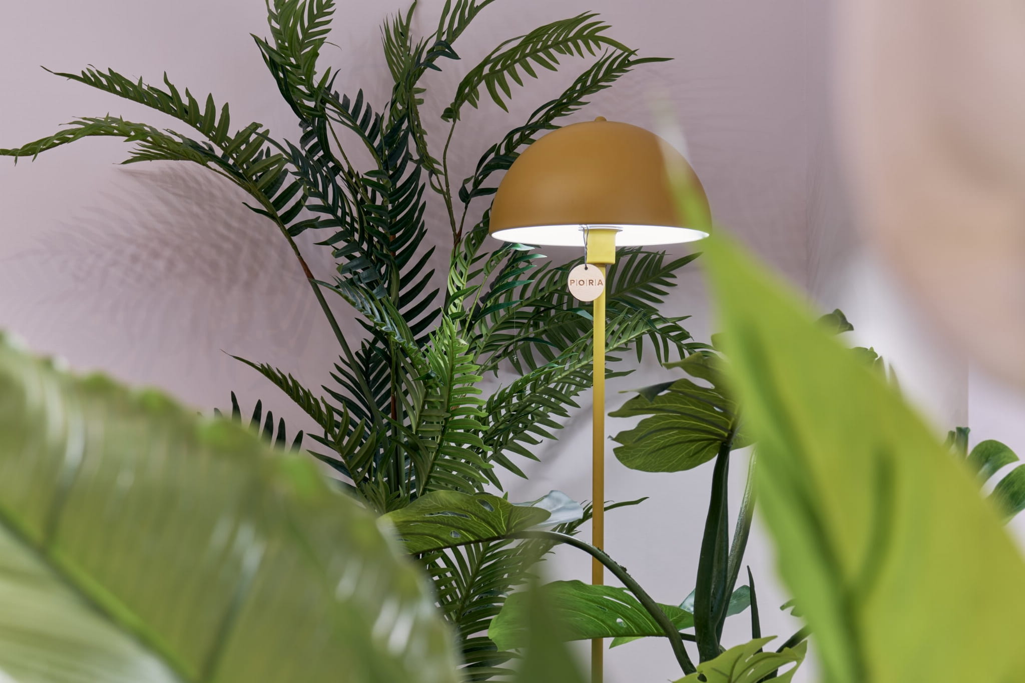 Plante décorative Palmier Lutescens 180 cm – Green Designers