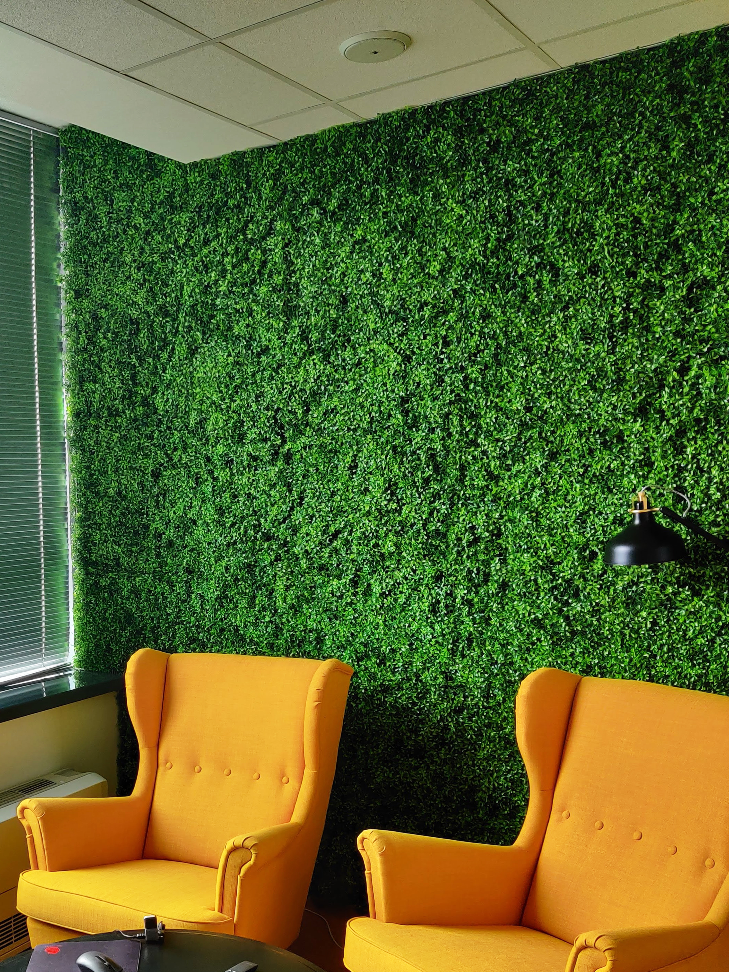 Mur végétal Vert Millepertuis 50x50cm – Green Designers