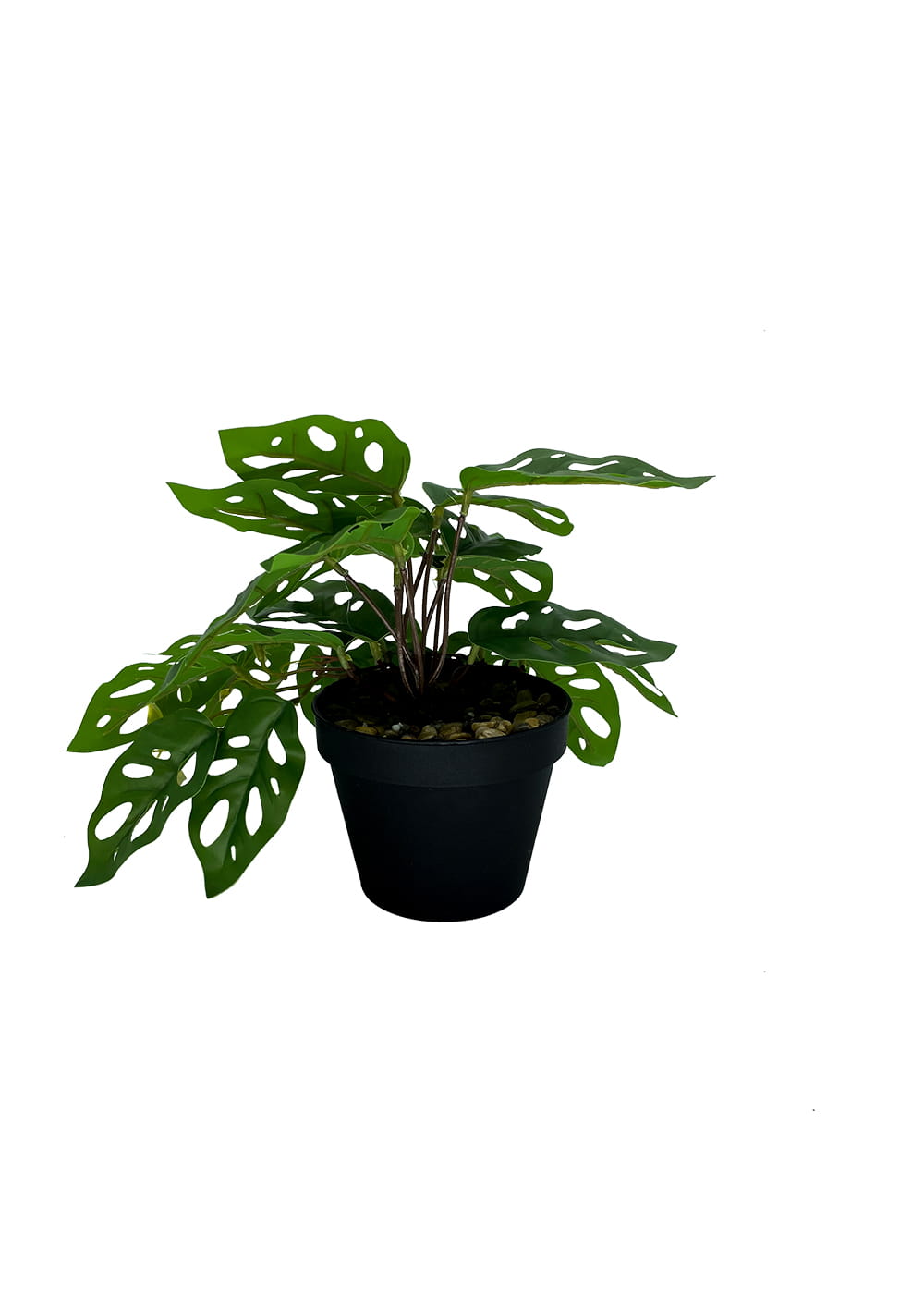 Plante artificielle Monstera Singe 25 cm – Green Designers