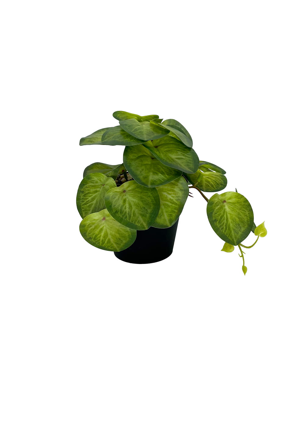 Plante Pilea artificielle 19 cm – Green Designers