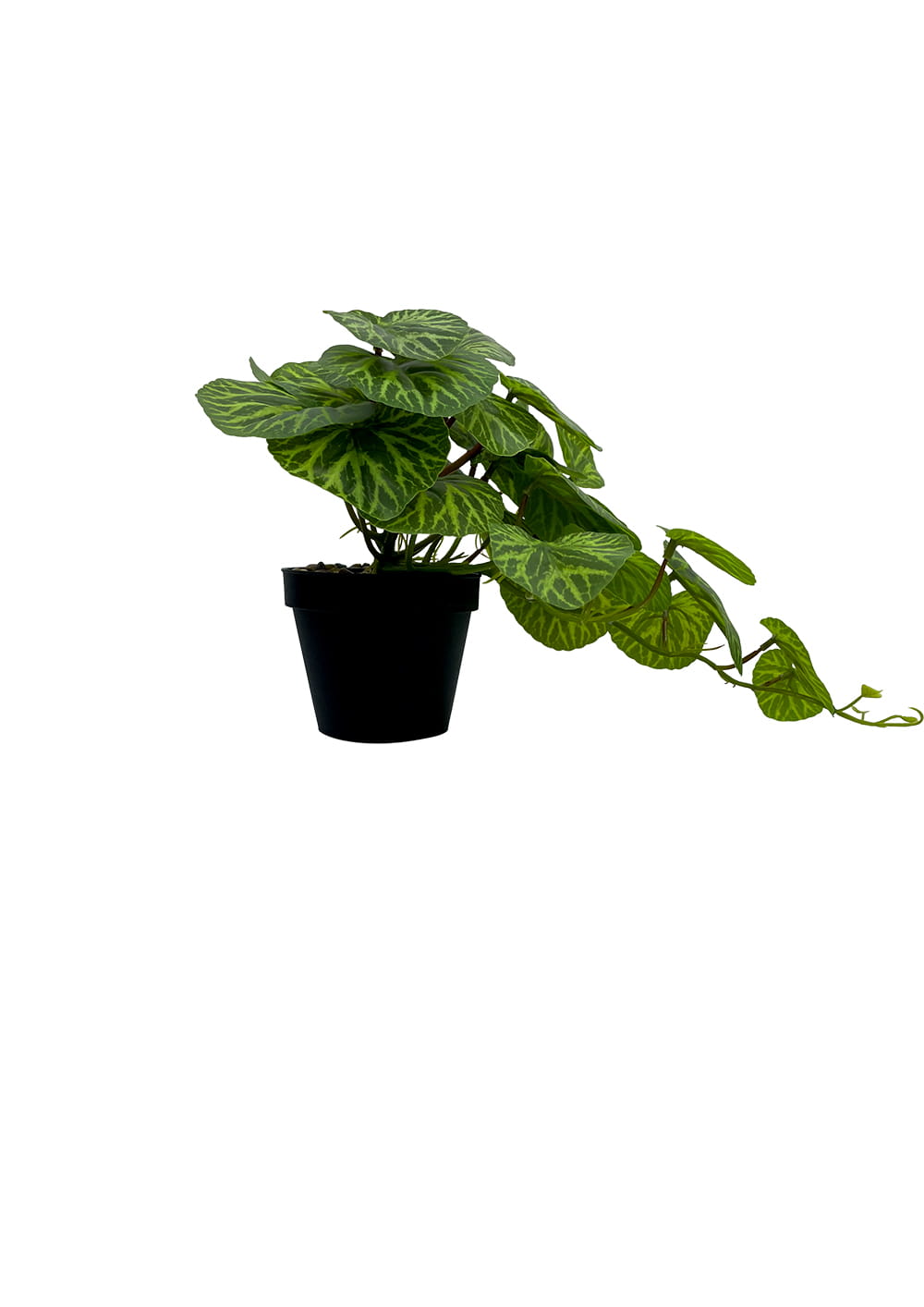 Plante Pilea artificielle 37 cm – Green Designers