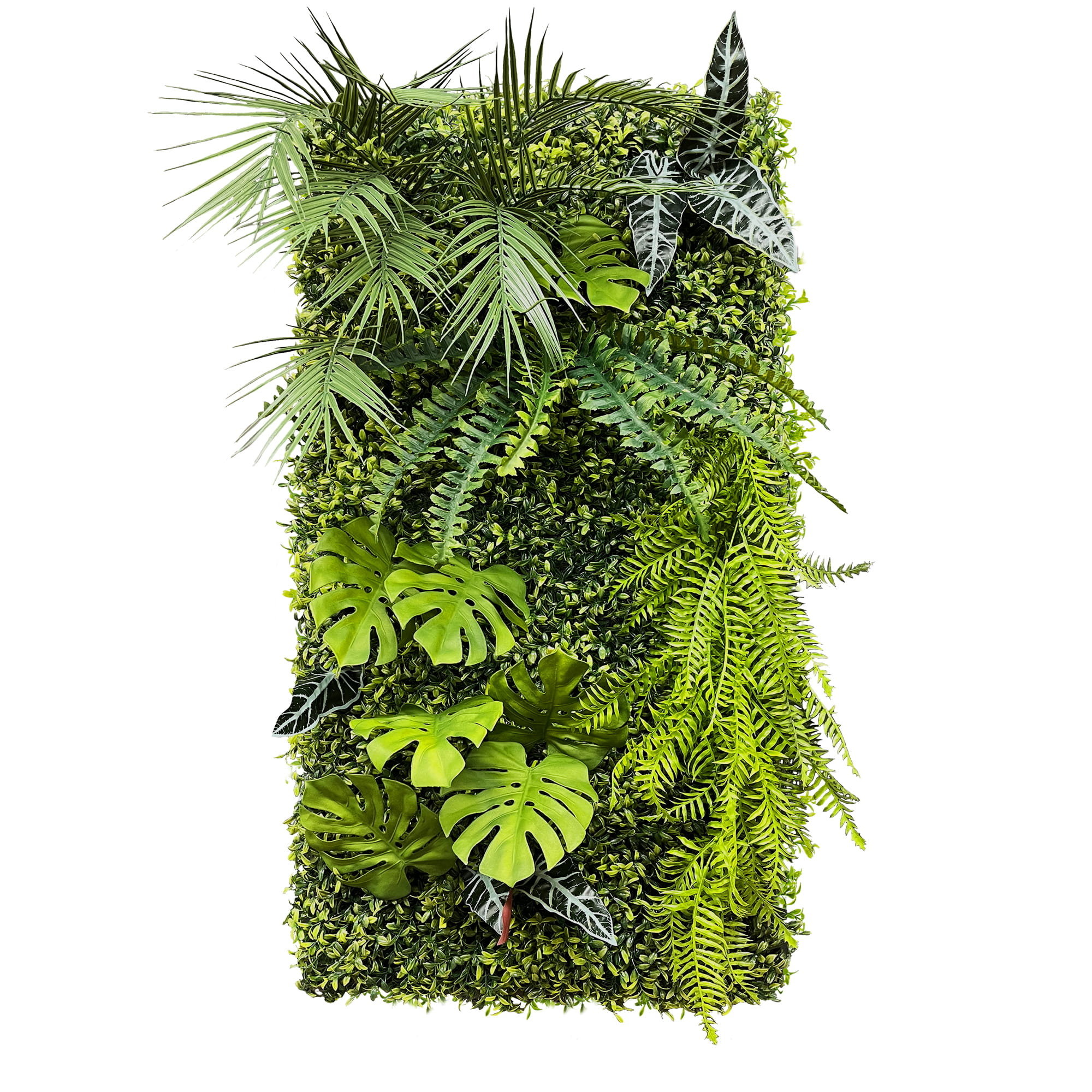 Jardin vertical ambiance tropicale