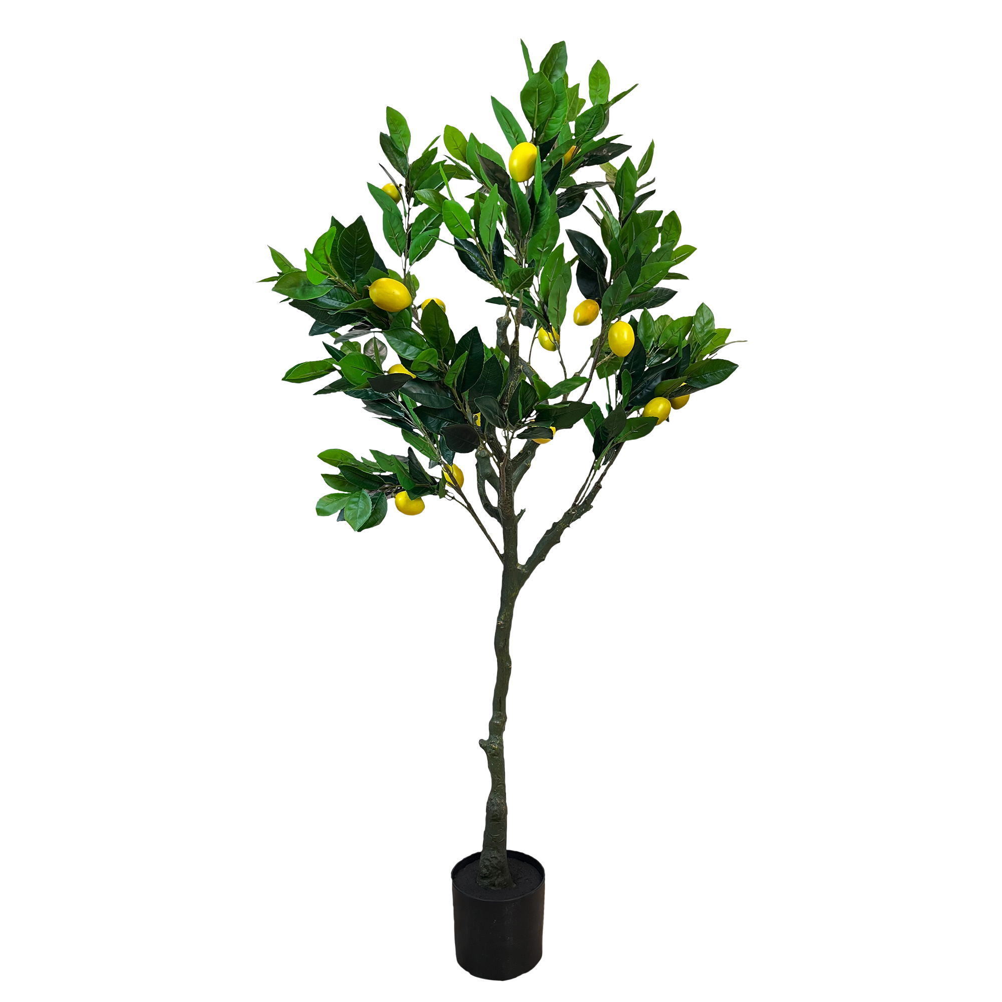 Citronnier artificiel 140 cm – Green Designers