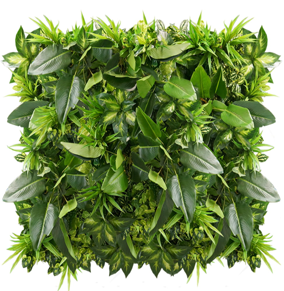 Jardin vertical Fraîcheur Tropicale – Green Designers