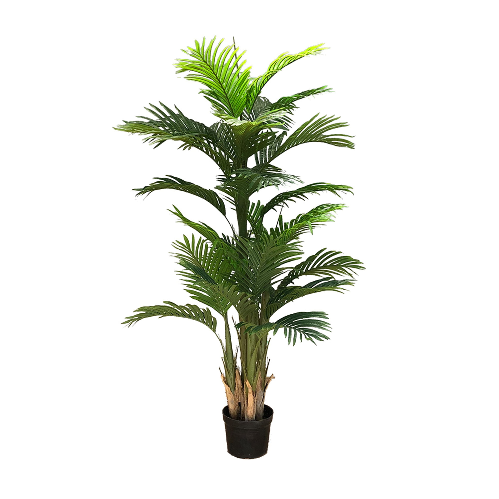 Arbre décoratif artificiel Ravenea Palm 180cm – Green Designers