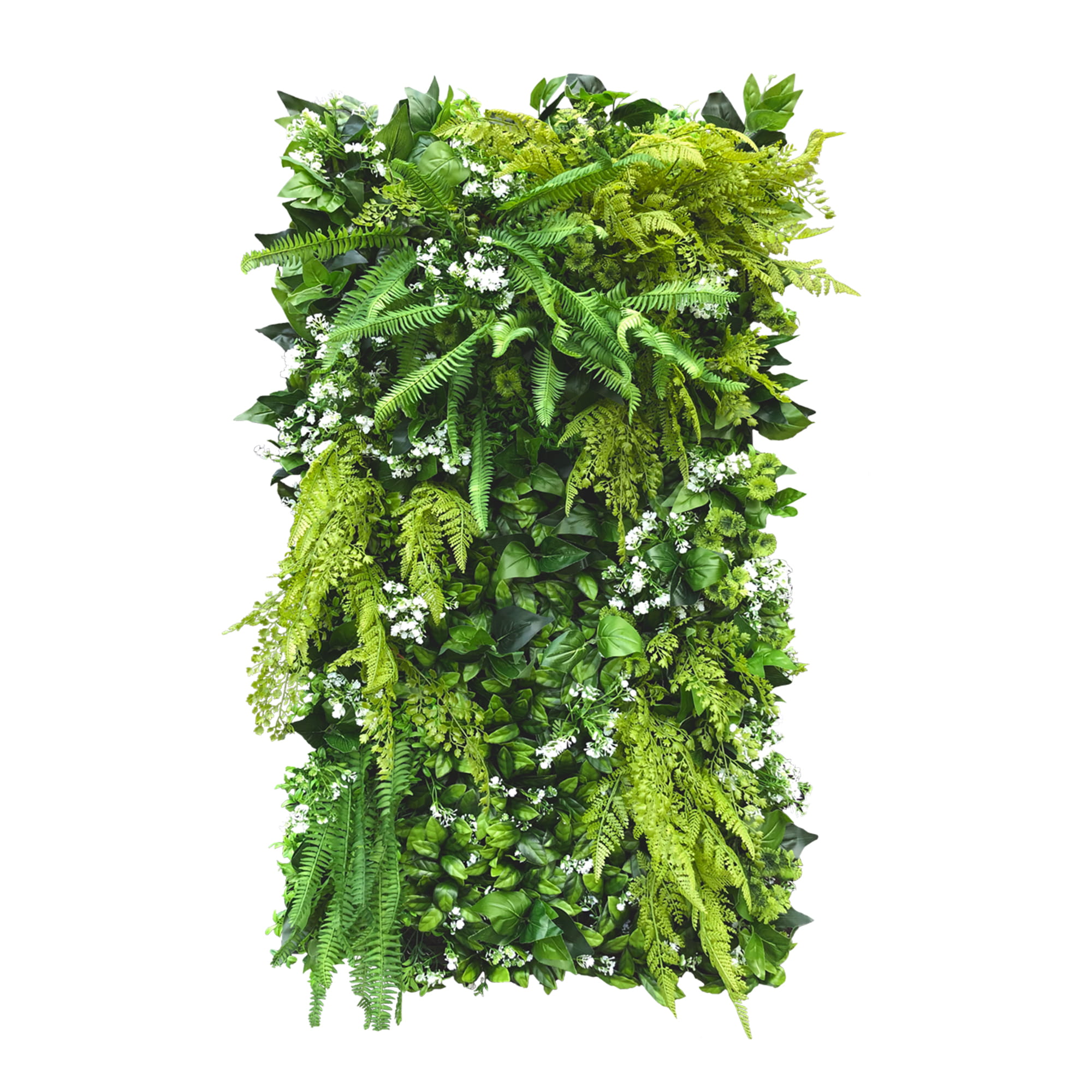 Jardin vertical marguerite blanche