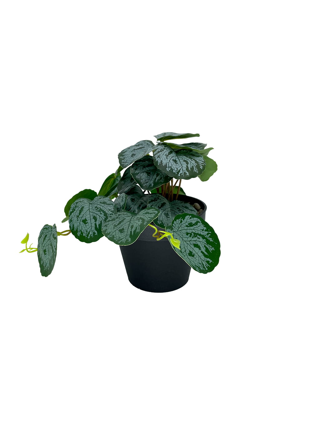 Plante Pilea artificielle 20 cm – Green Designers