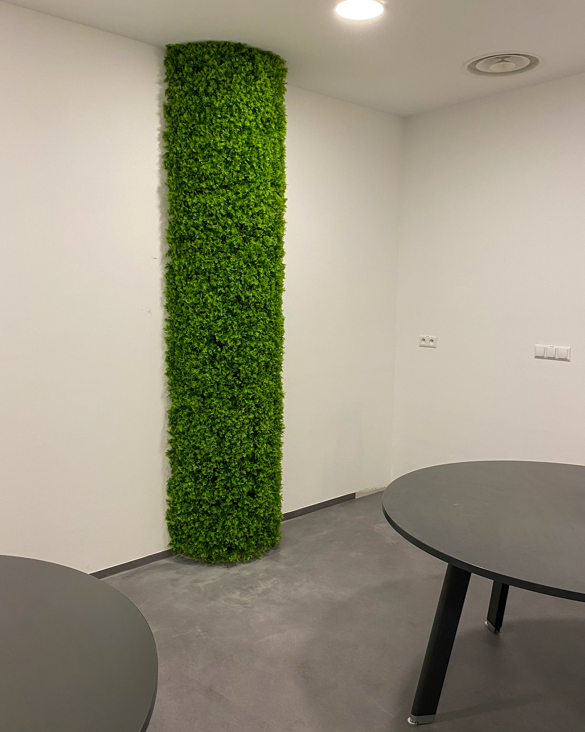 Mur végétal Thuya 50x50cm – Green Designers