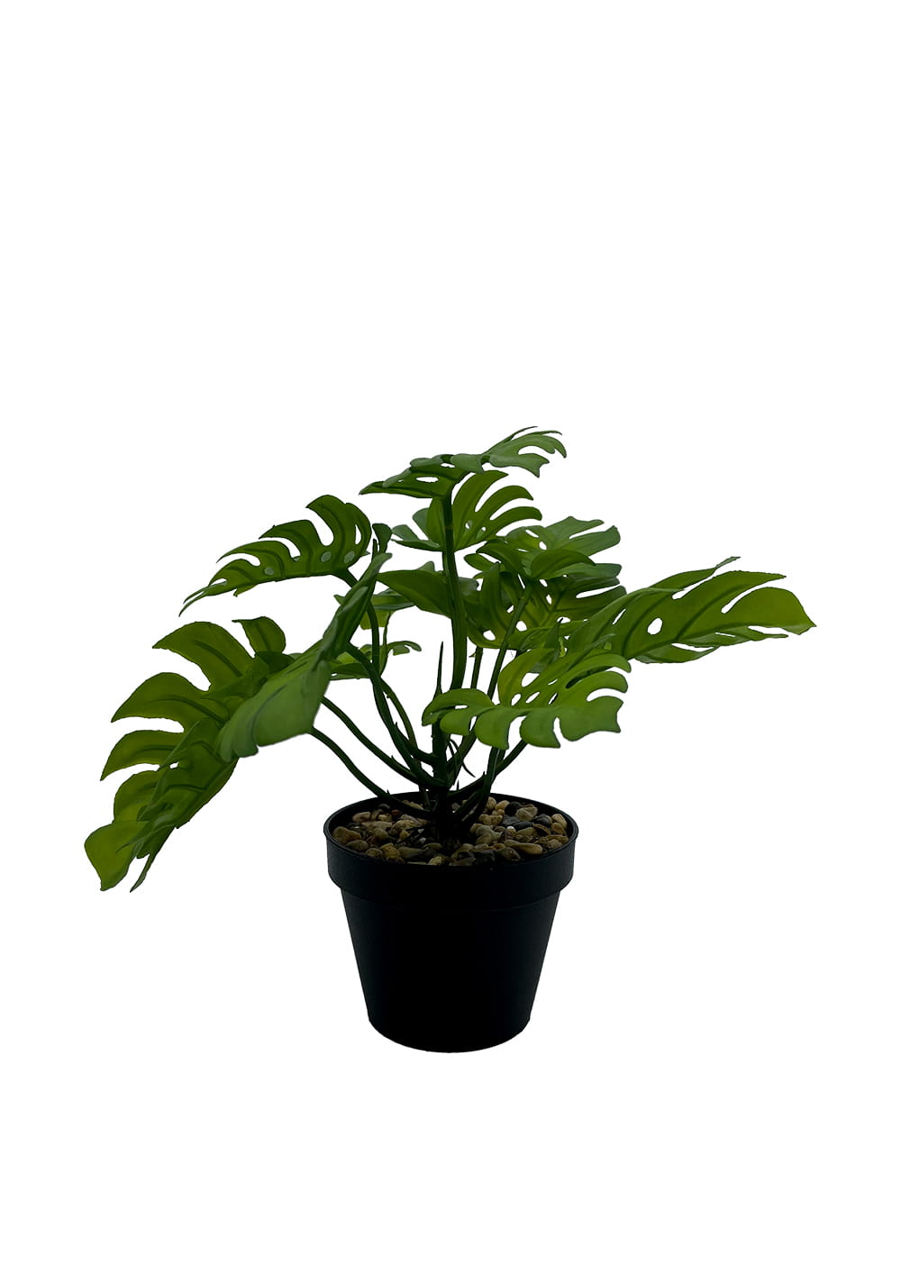 Plante Monstera artificielle 20 cm – Green Designers