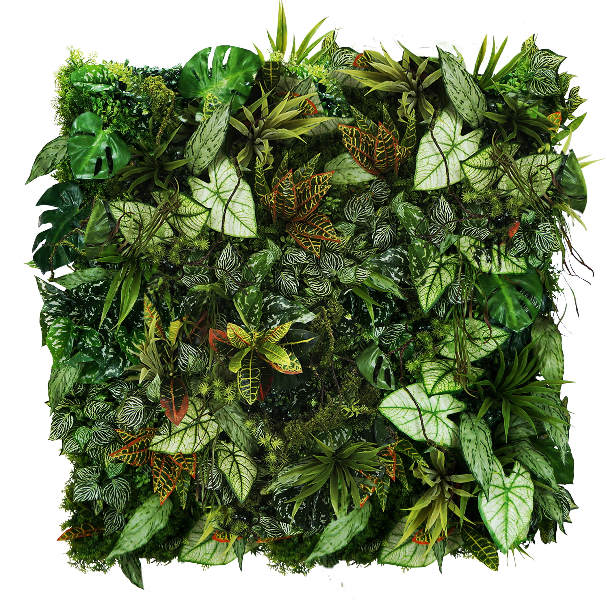 Jardin vertical Mayan Ray – Green Designers