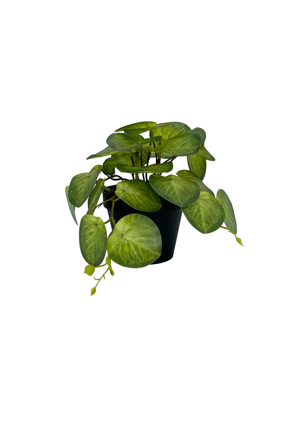 Plante Pilea artificielle 19 cm – Green Designers
