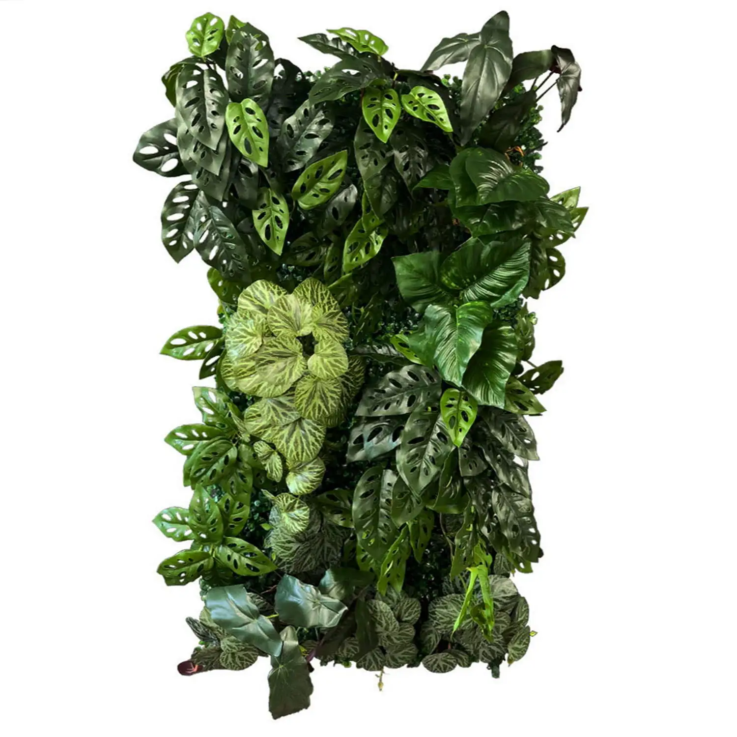 Jardin vertical Funky Monkey
