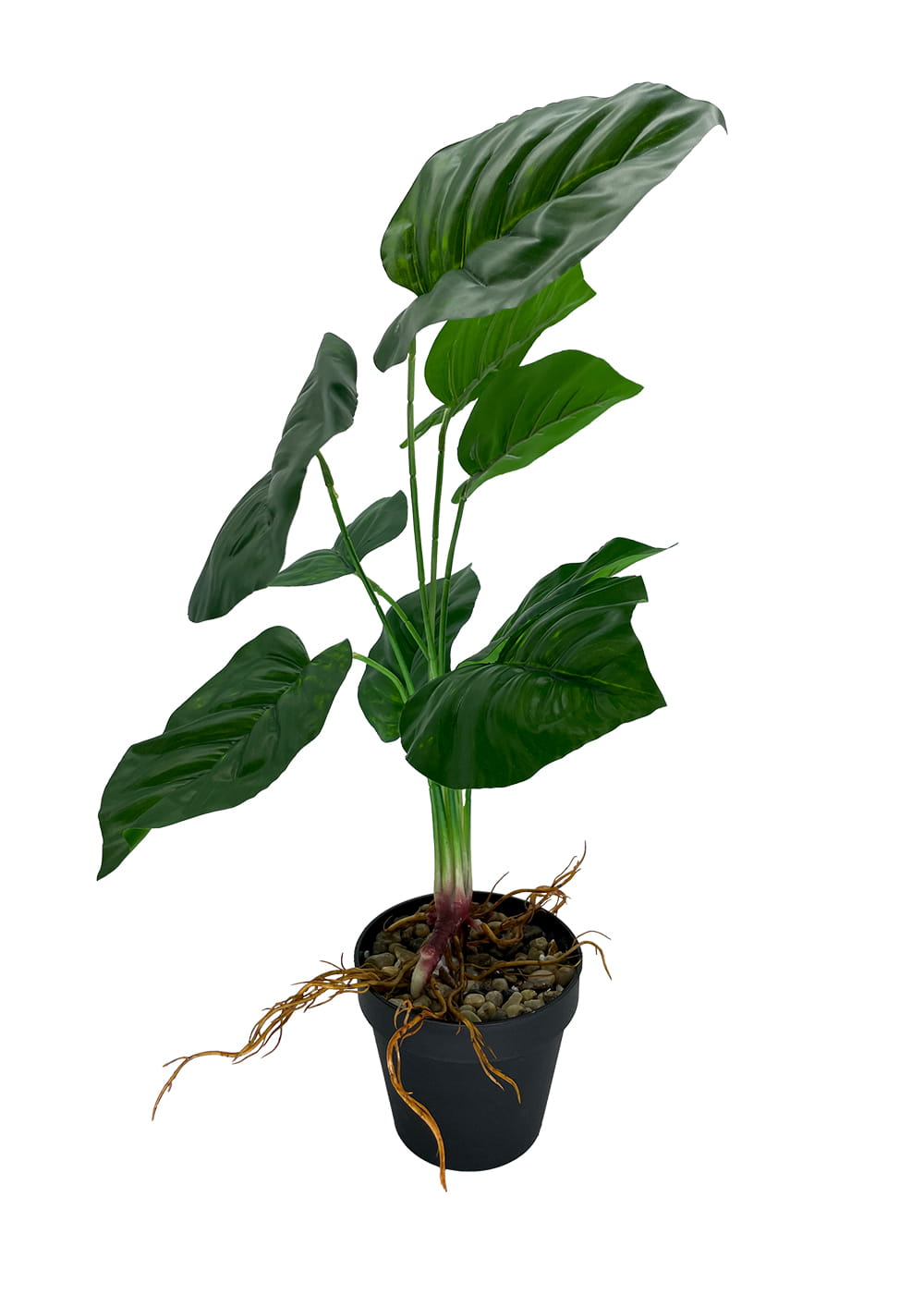 Plante d'arrow-root artificielle 44 cm – Green Designers