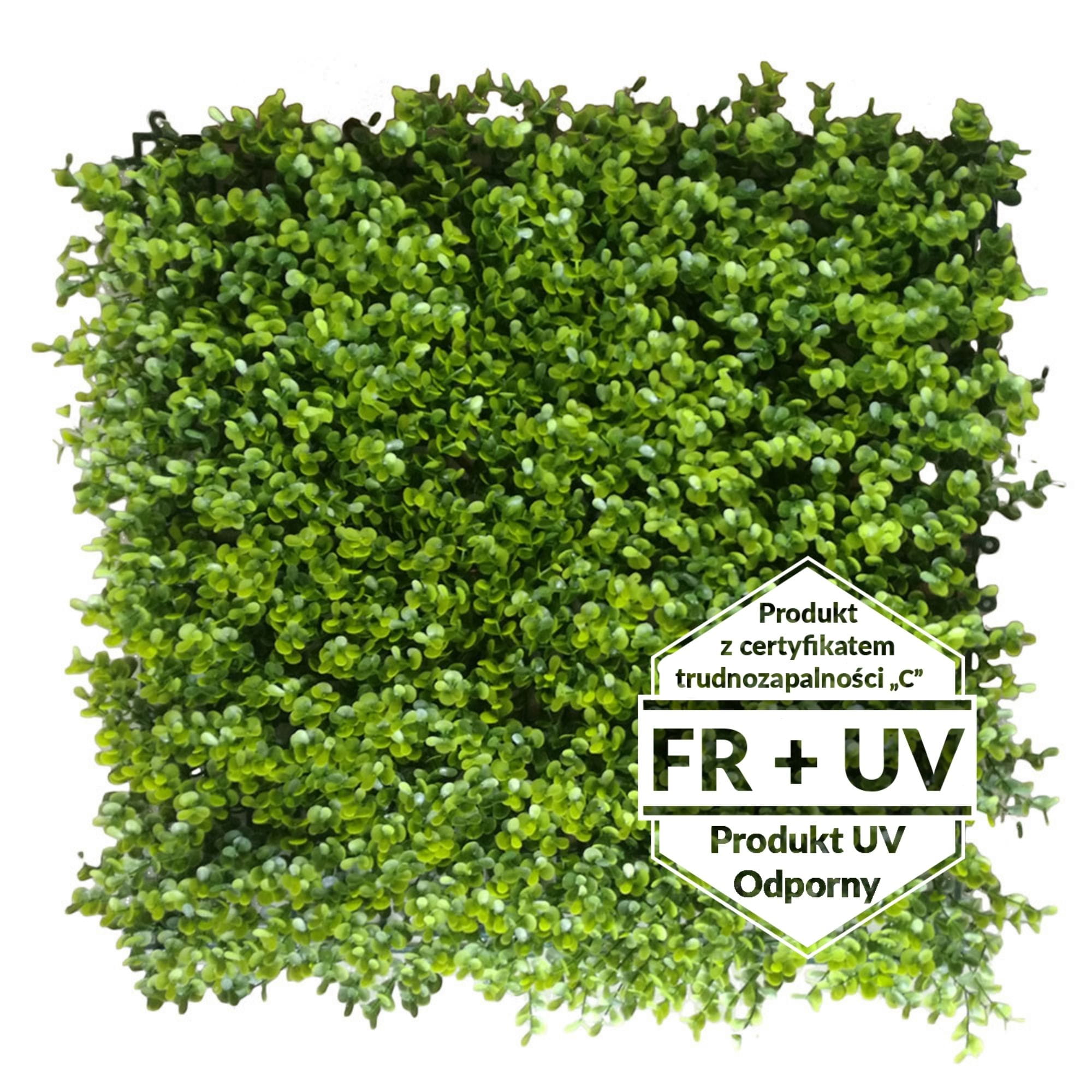 Tapis vert artificiel Myrtille FR UV - C 50x50cm