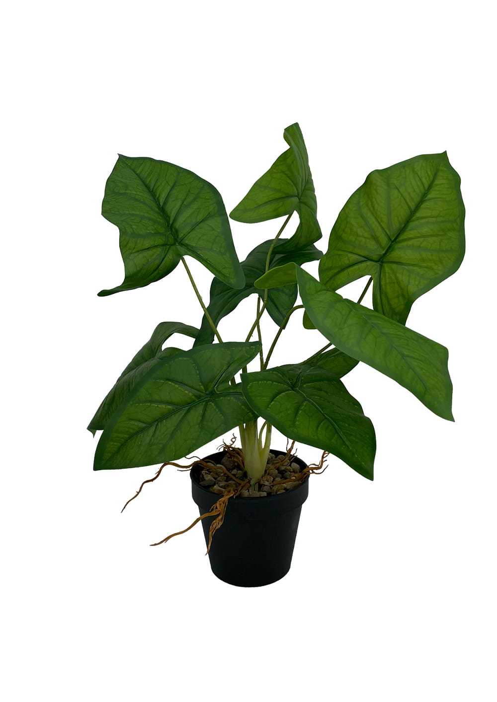 Plante Syngonium artificielle 56 cm – Green Designers