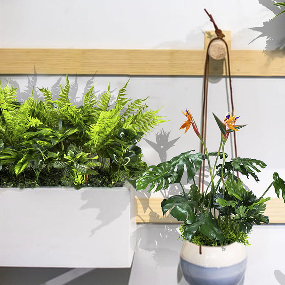 Composition pour le pot Nature Pride – Green Designers