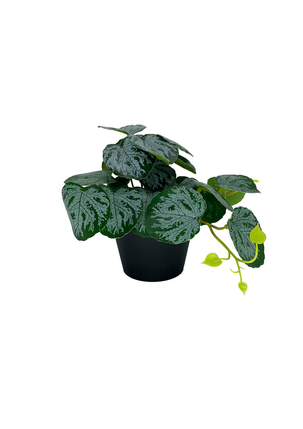 Plante Pilea artificielle 20 cm – Green Designers