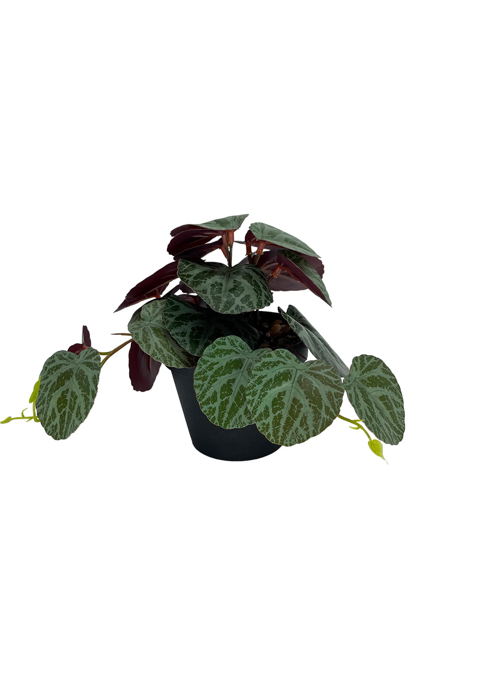 Plante Pilea artificielle 19 cm – Green Designers
