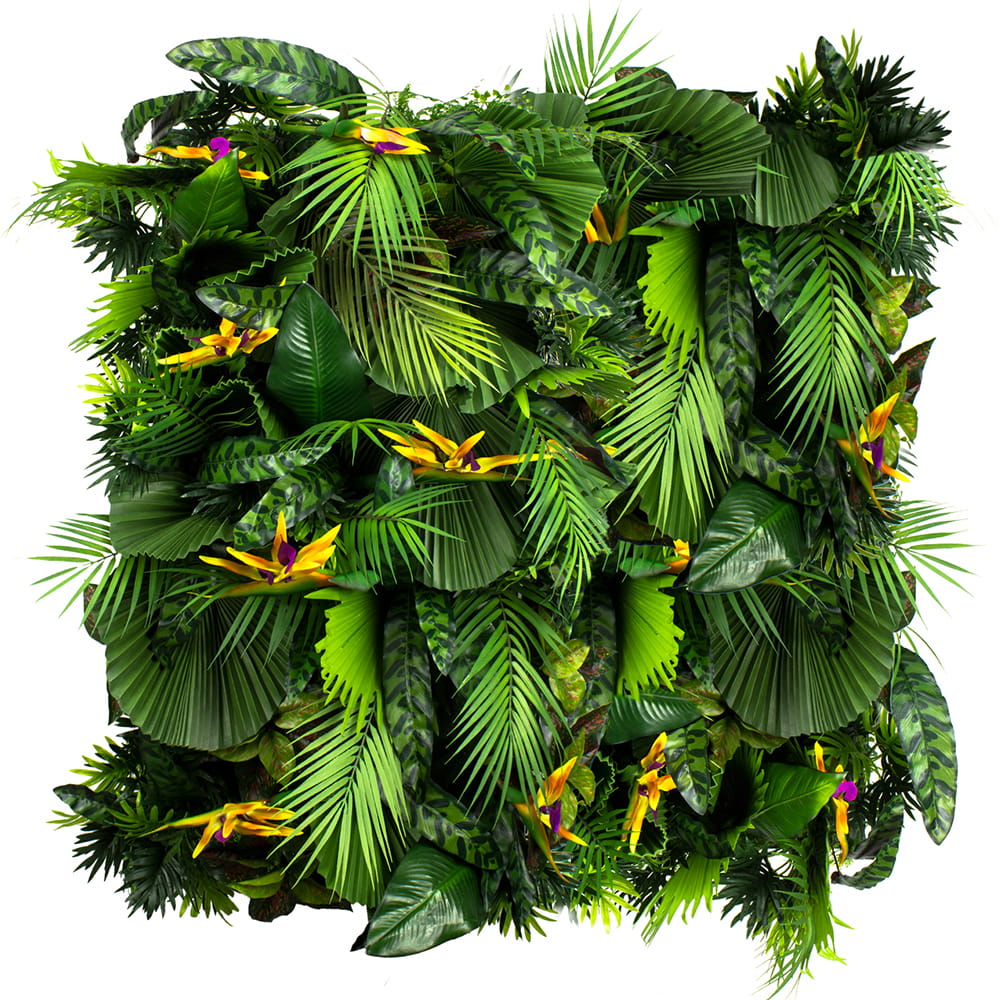 Jardin vertical Exotic Vibe – Green Designers