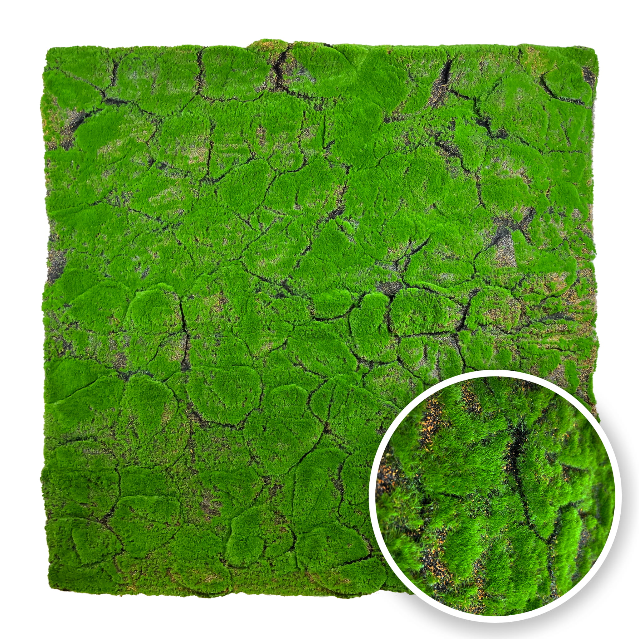 Tourbe artificielle 100x100cm – Green Designers