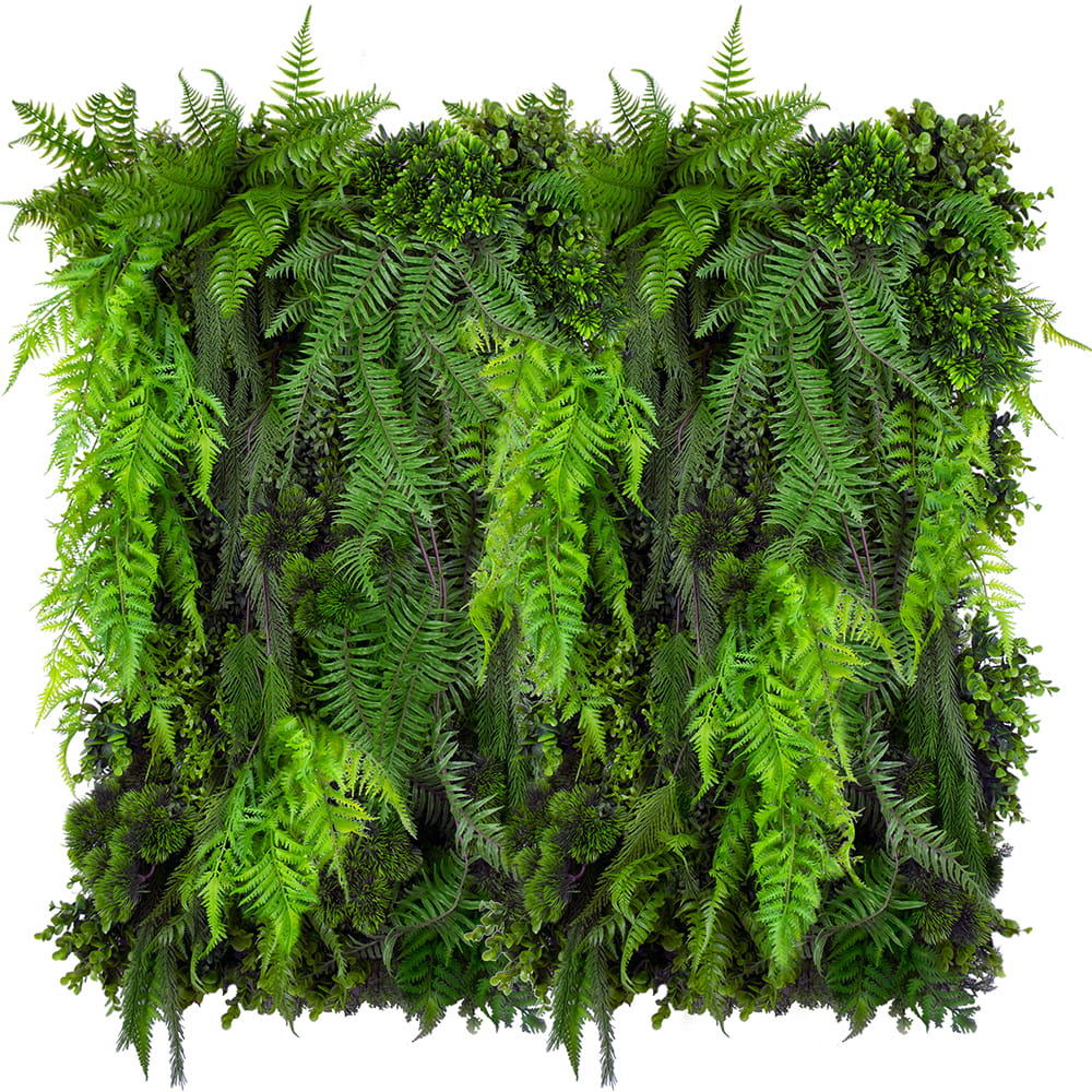Jardin vertical Fougère Cascade – Green Designers