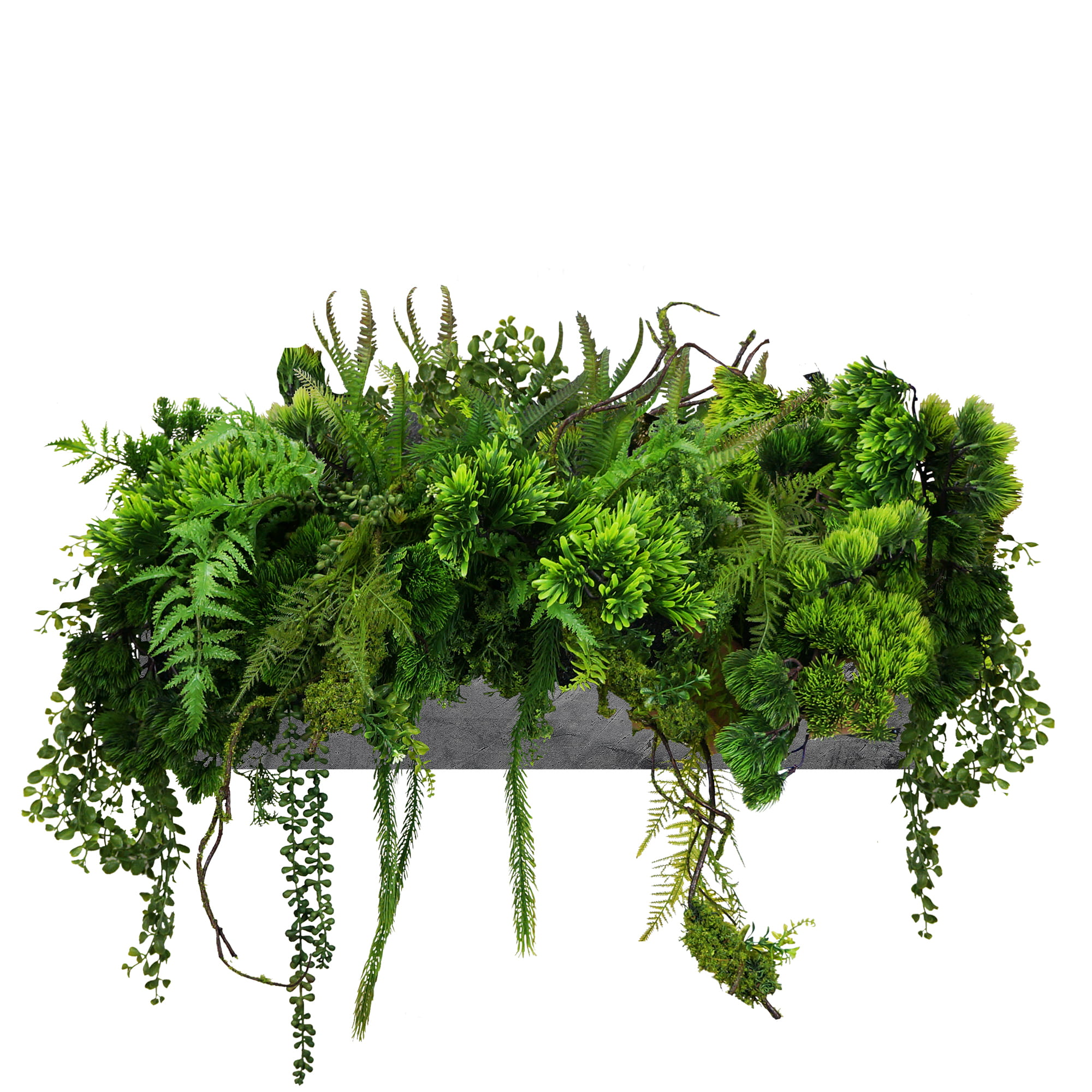 Composition pour le pot Quiet Oasis