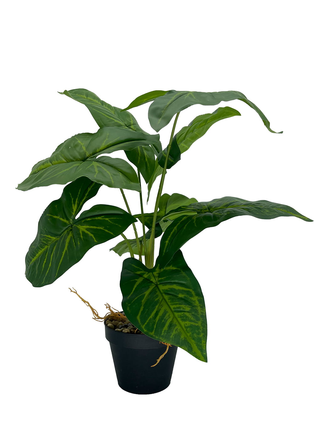 Plante Syngonium artificielle 50 cm – Green Designers