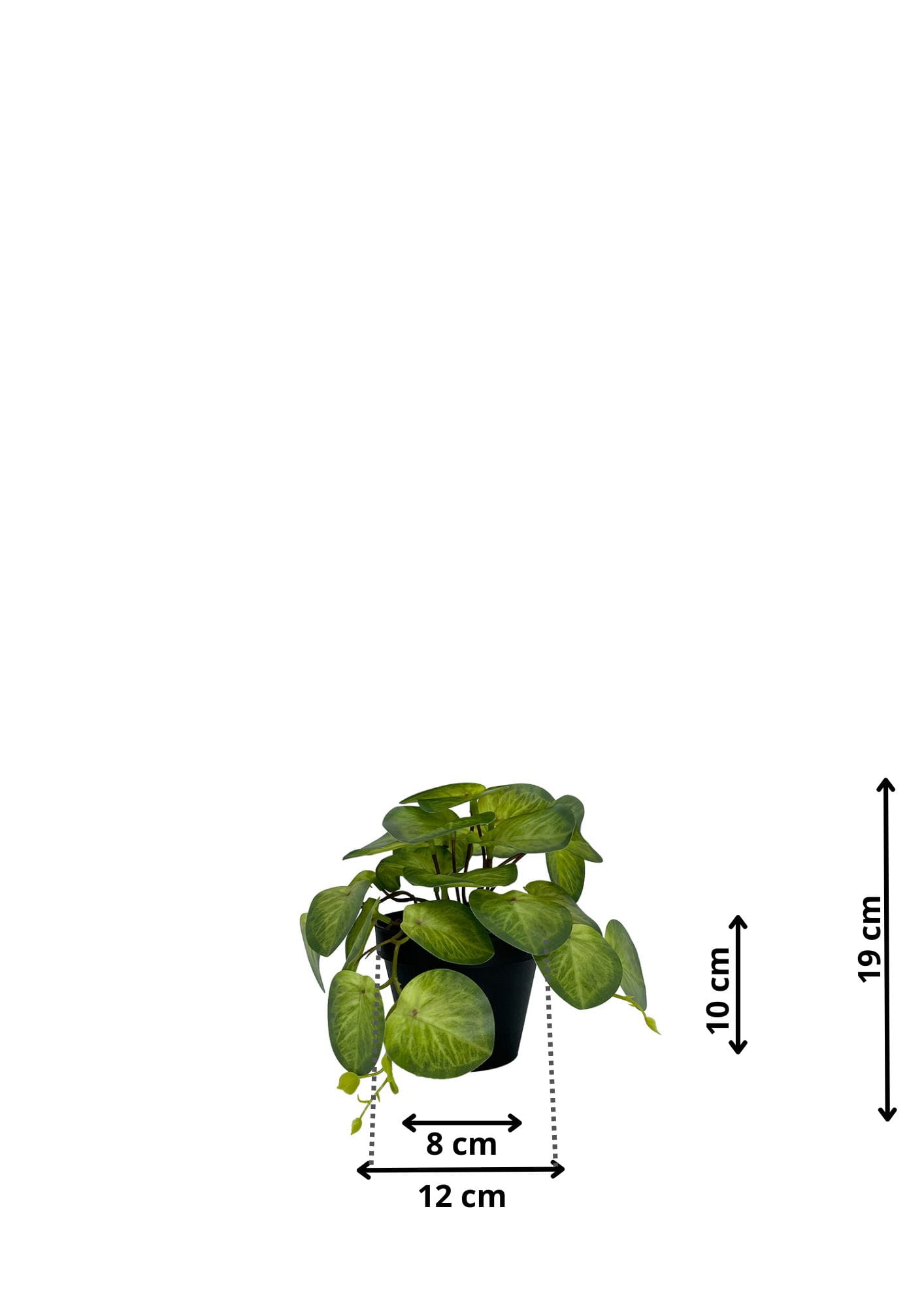 Plante Pilea artificielle 19 cm – Green Designers