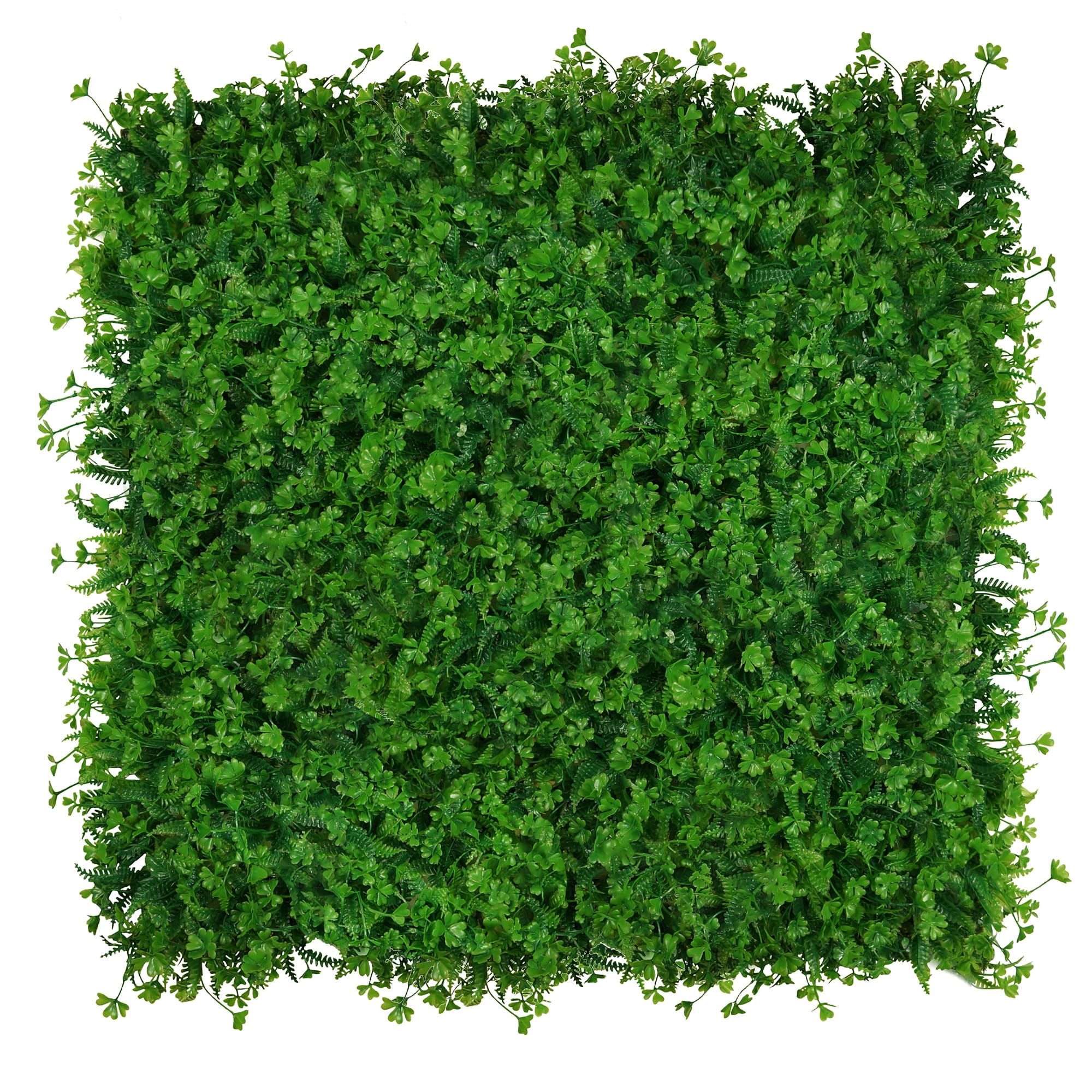 Mur végétal Trèfle 50x50cm – Green Designers