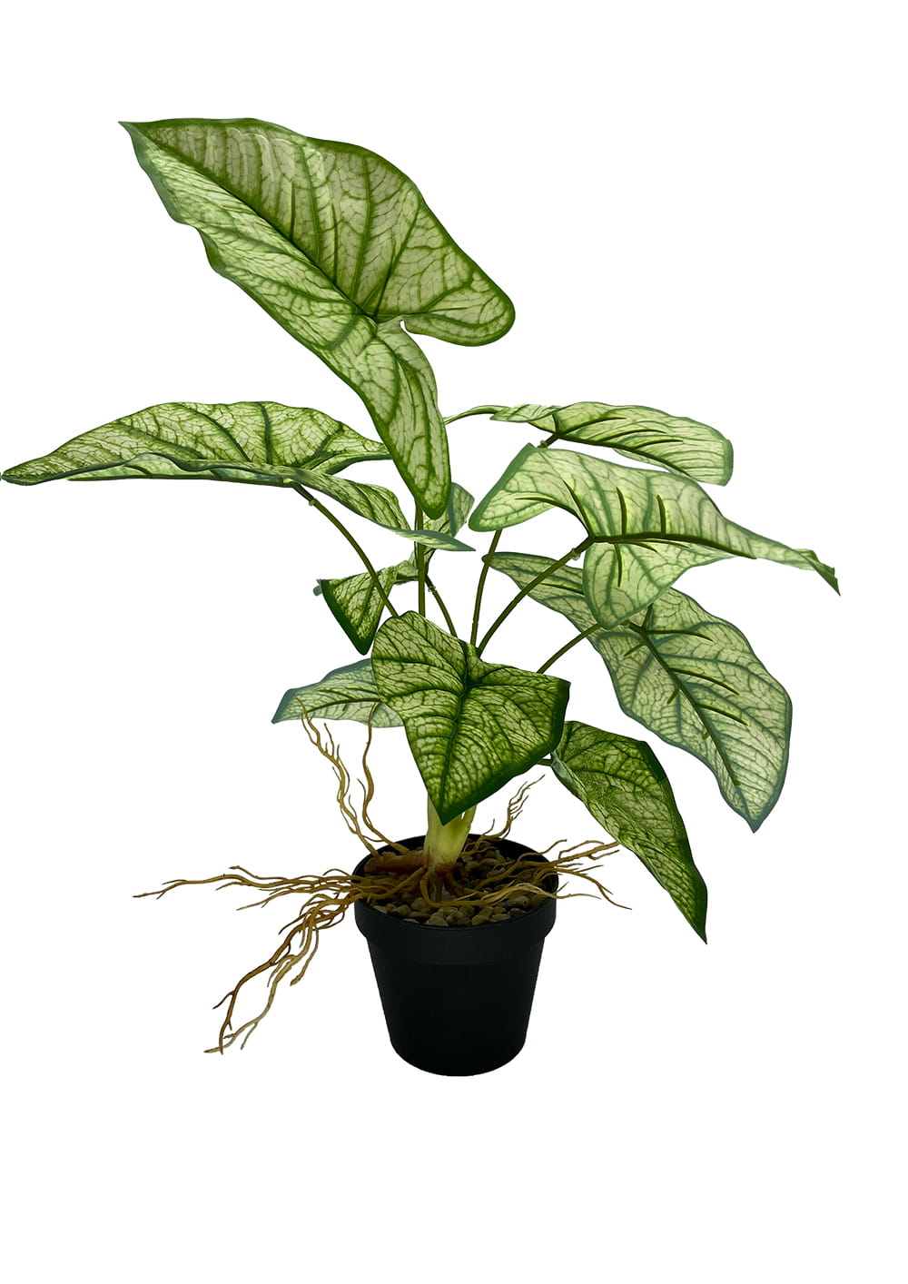 Plante Syngonium artificielle 54 cm – Green Designers
