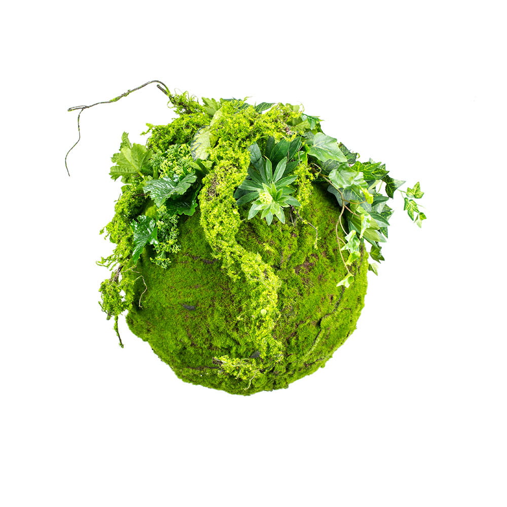 Boule de mousse suspendue Kokedama 35 cm