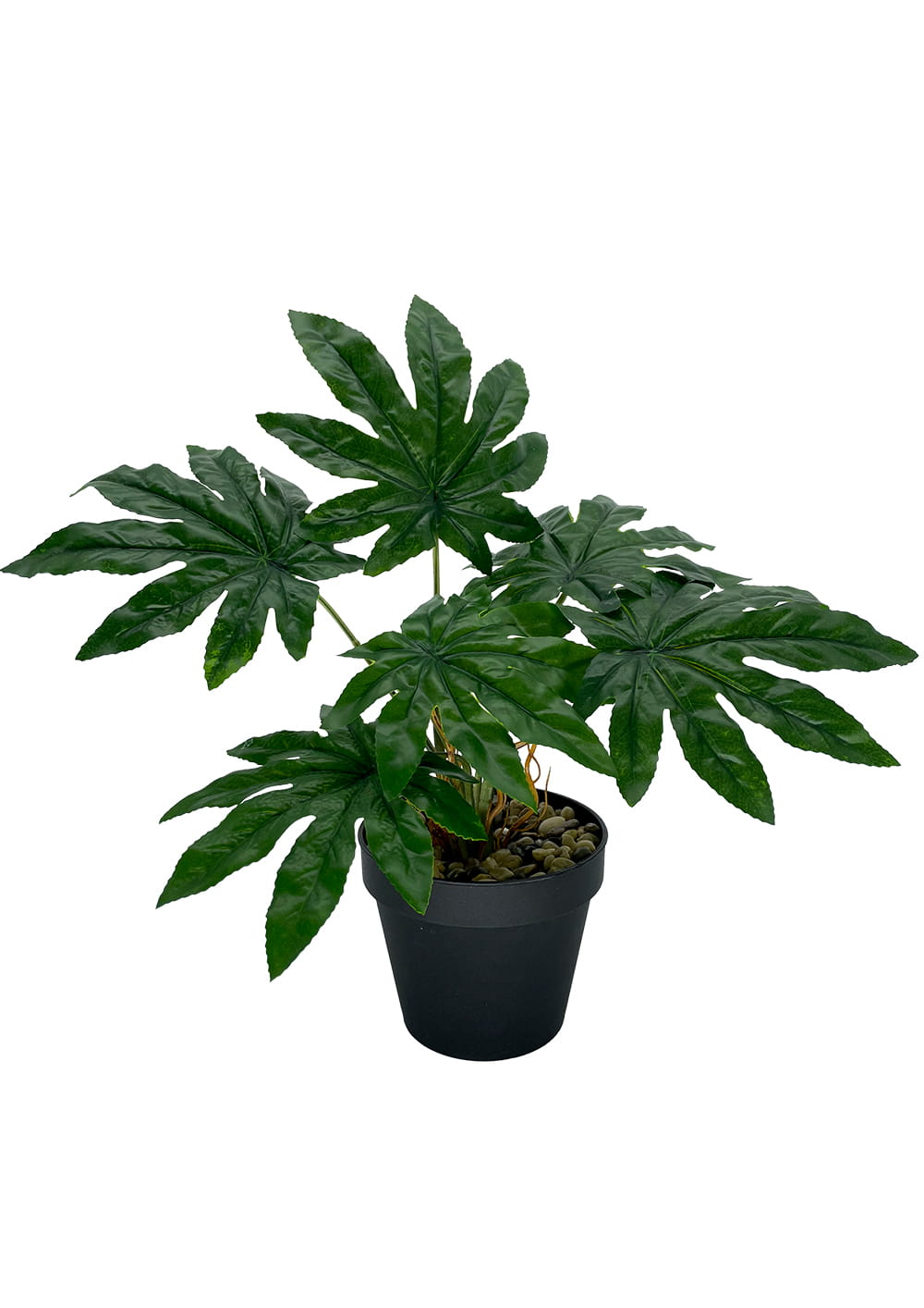 Plante Aralia artificielle 45 cm – Green Designers
