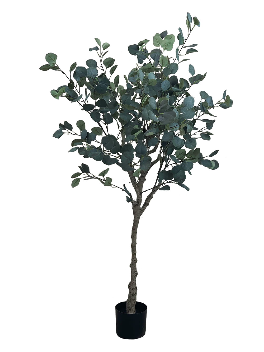 Plante d'eucalyptus artificielle 150cm – Green Designers