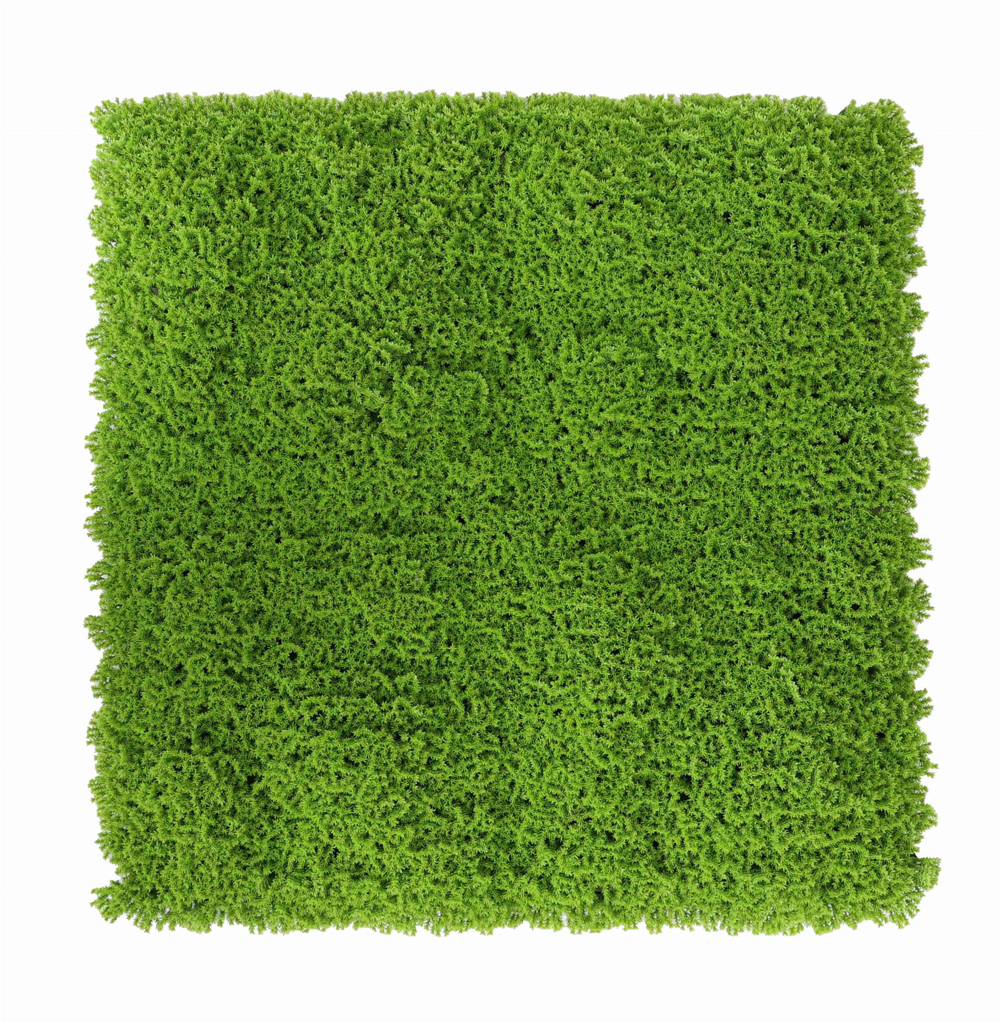 Tapis vert artificiel Runowiec UV 50x50cm – Green Designers