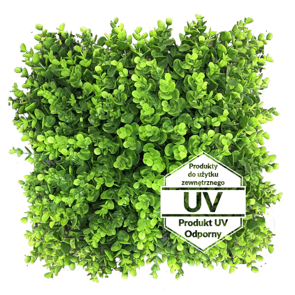 Tapis vert artificiel Wielomlecz UV 50x50cm