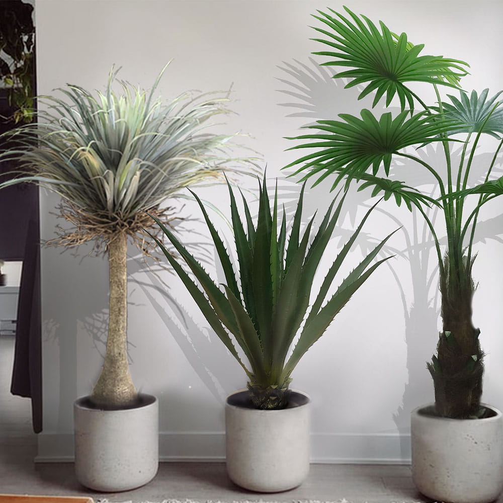Plante décorative Agave Americana 100 cm – Green Designers