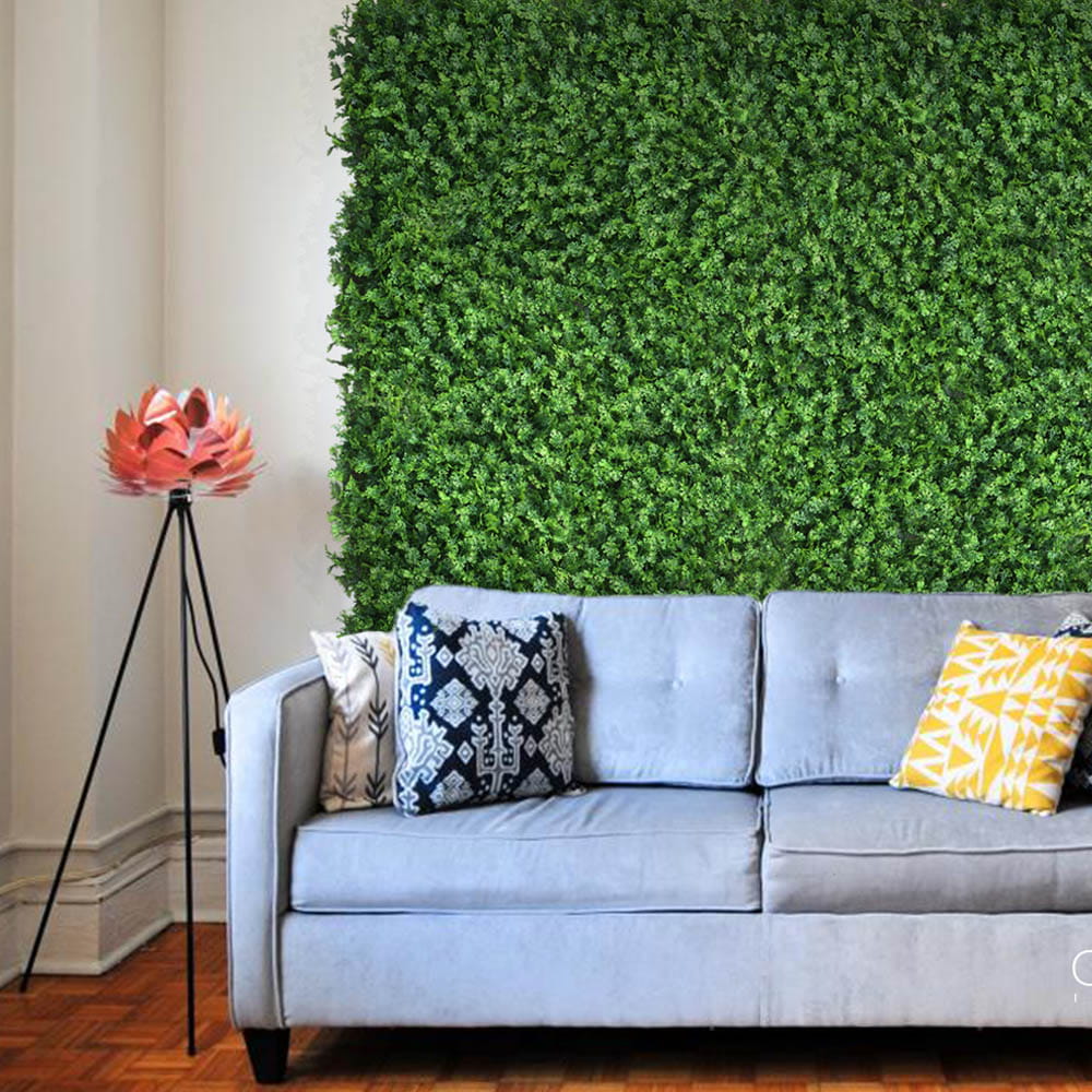 Mur végétal Thuya 50x50cm – Green Designers