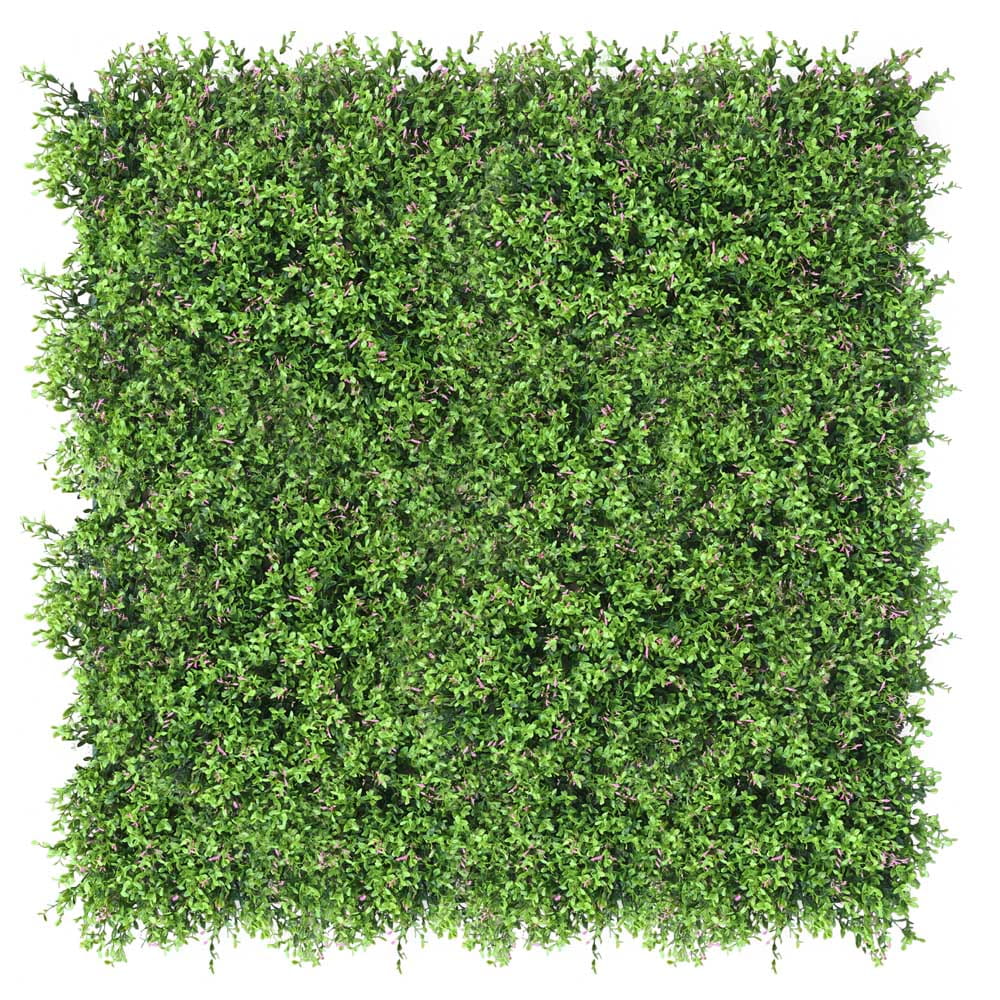 Mur végétal Fumaria 50x50cm – Green Designers