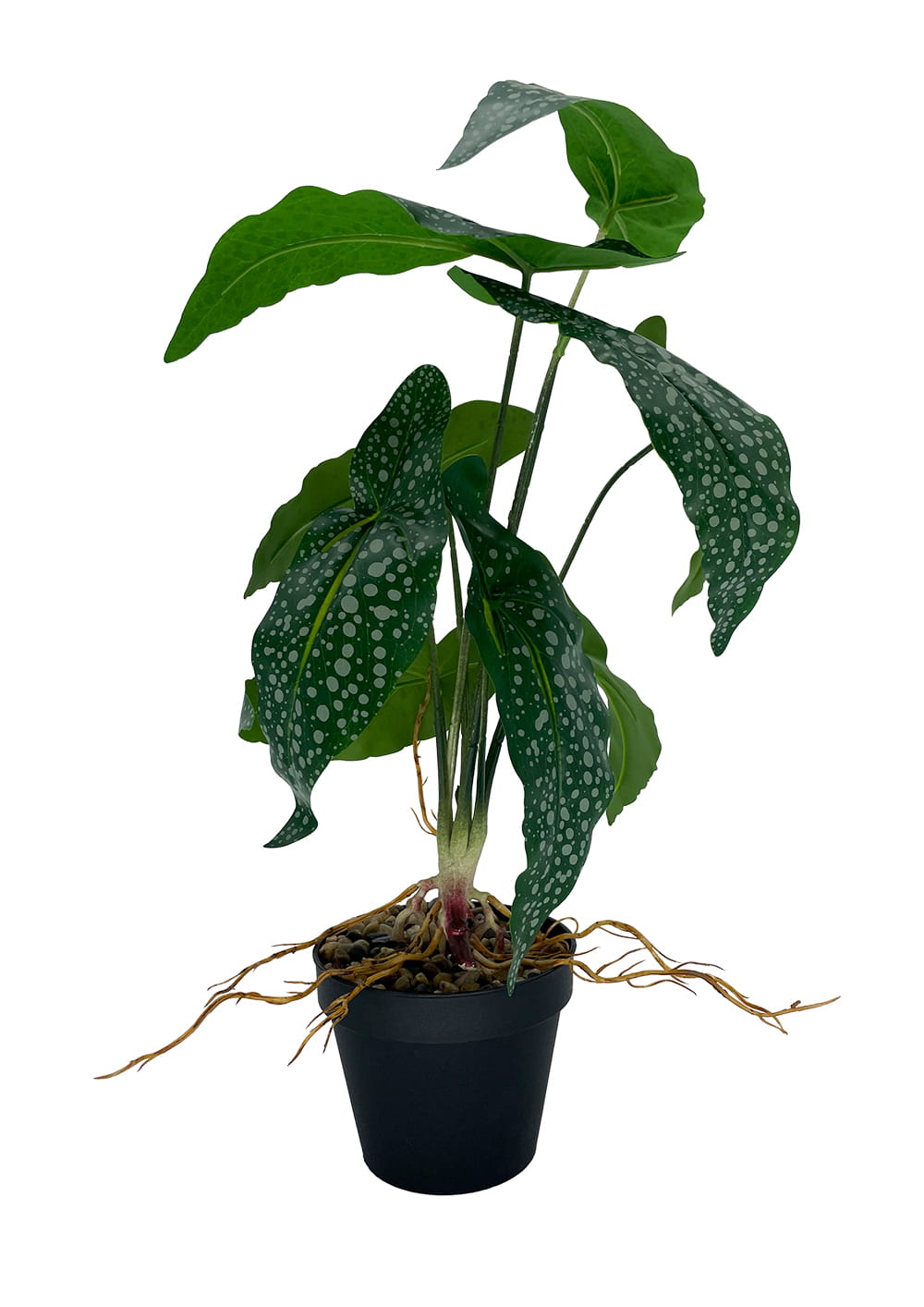 Plante Bégonia artificielle 35 cm – Green Designers