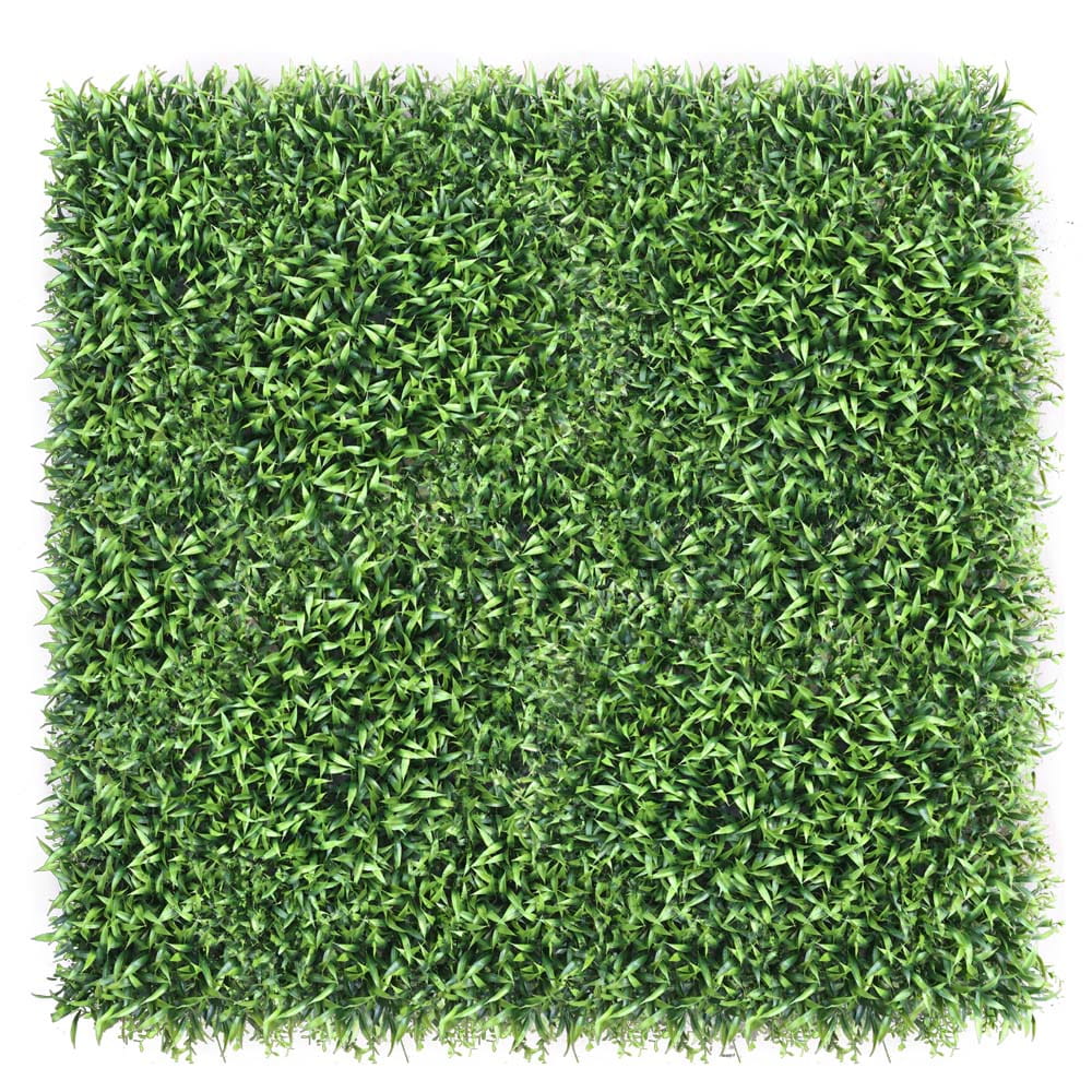 Mur végétal Celozja 40x60cm – Green Designers