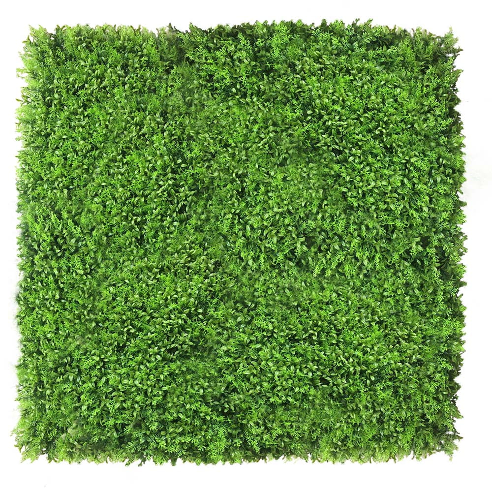 Mur végétal Zmienka 50x50cm – Green Designers
