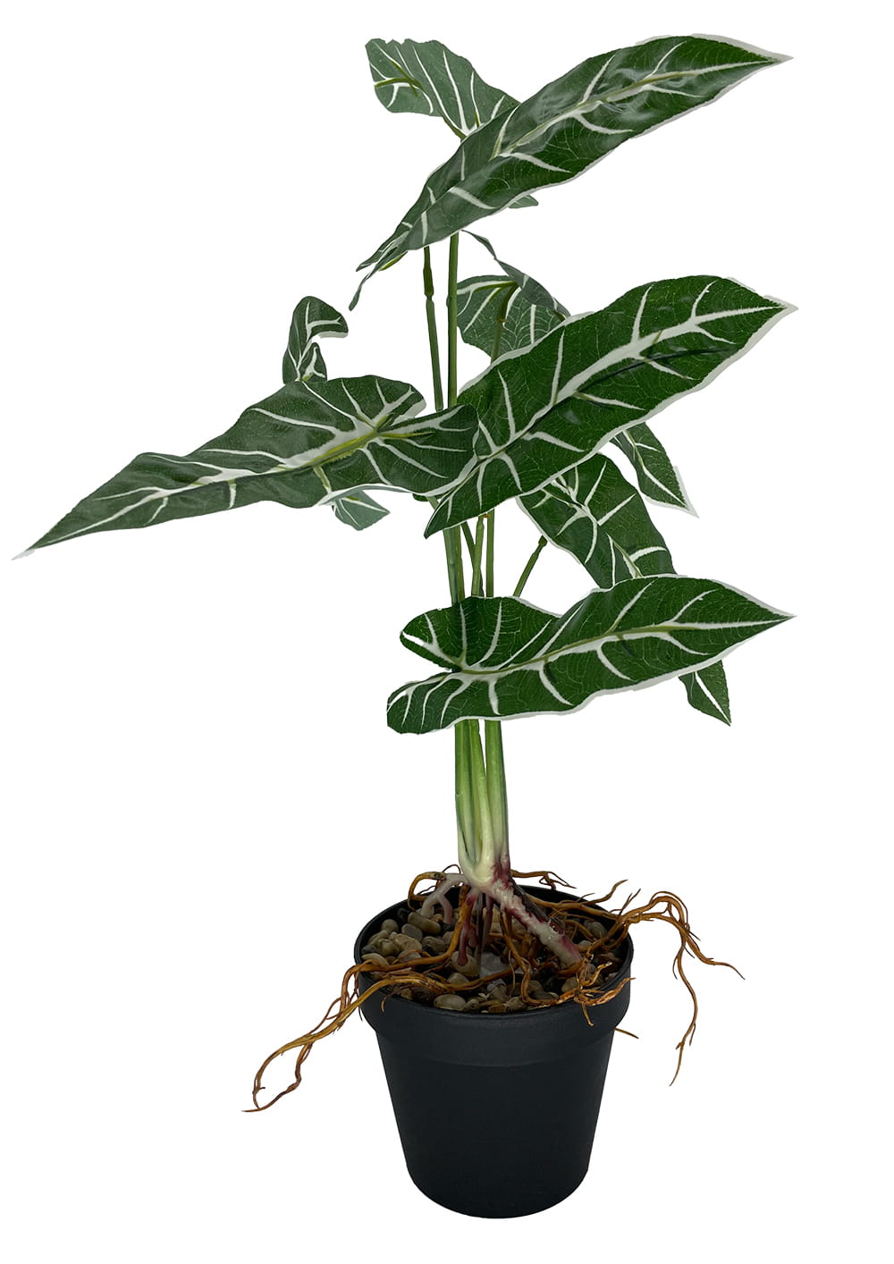 Plante artificielle Alocasia Amazonica 58 cm – Green Designers