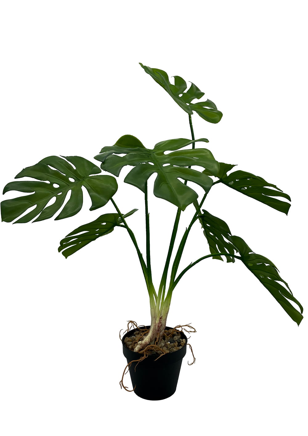 Plante Monstera artificielle 65 cm – Green Designers