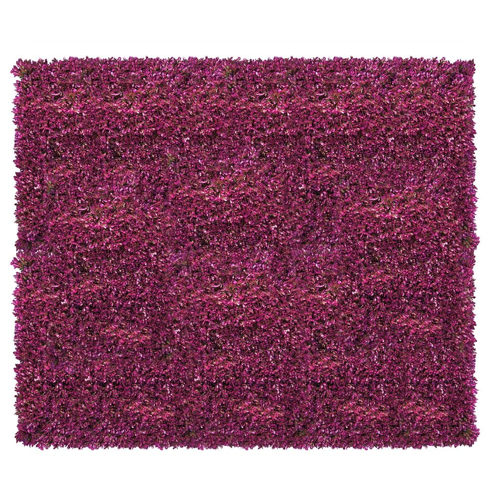 Mur de plantes Rose fuchsia 50x50cm – Green Designers